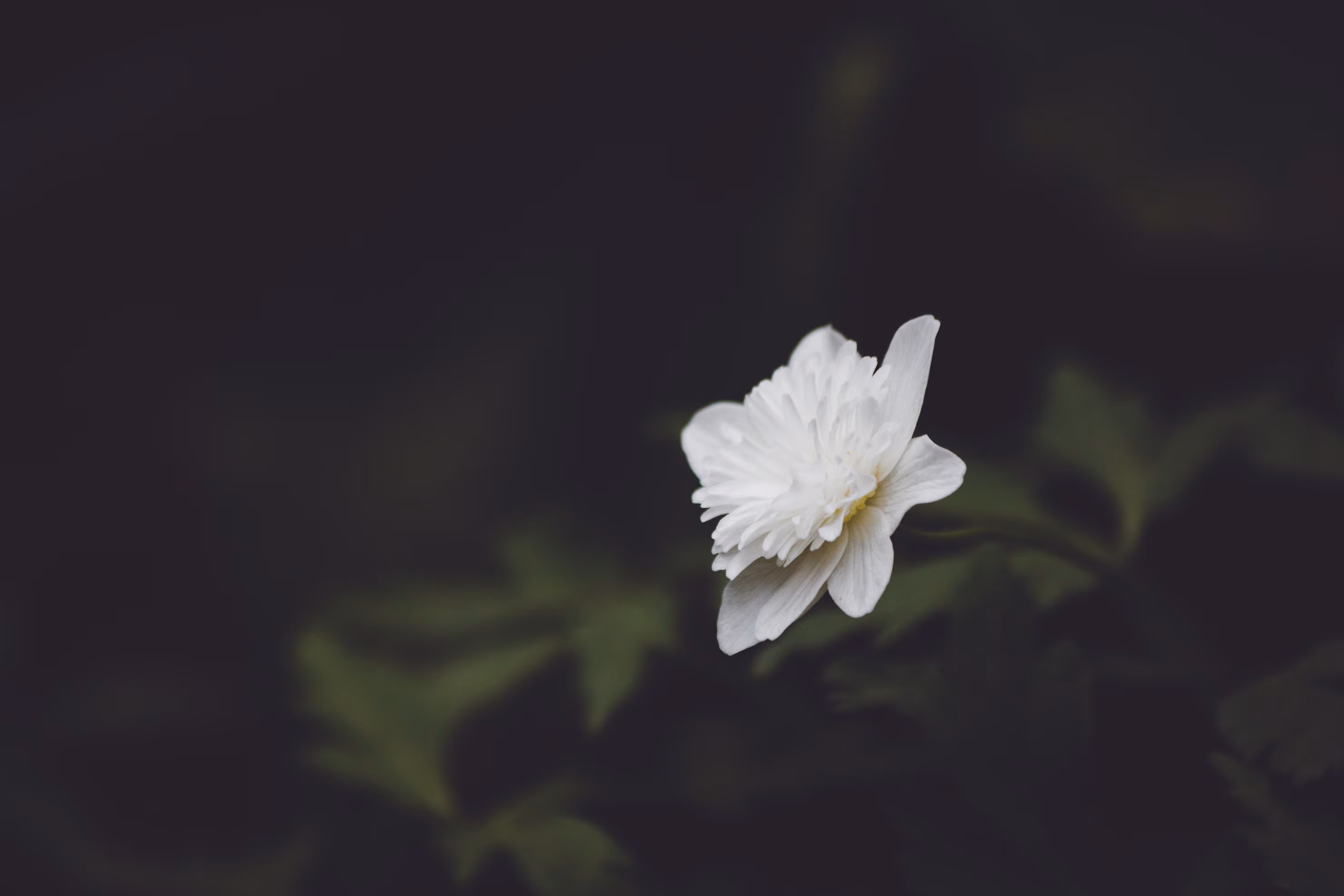 Natural Focus: Without Trying