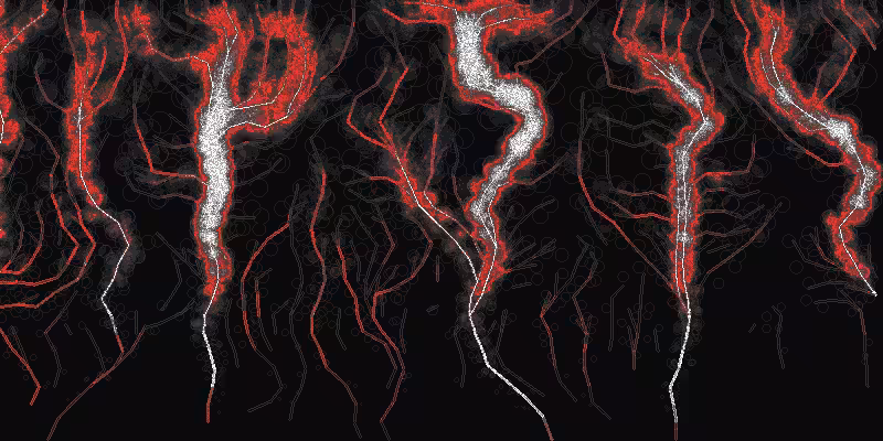 veins #113