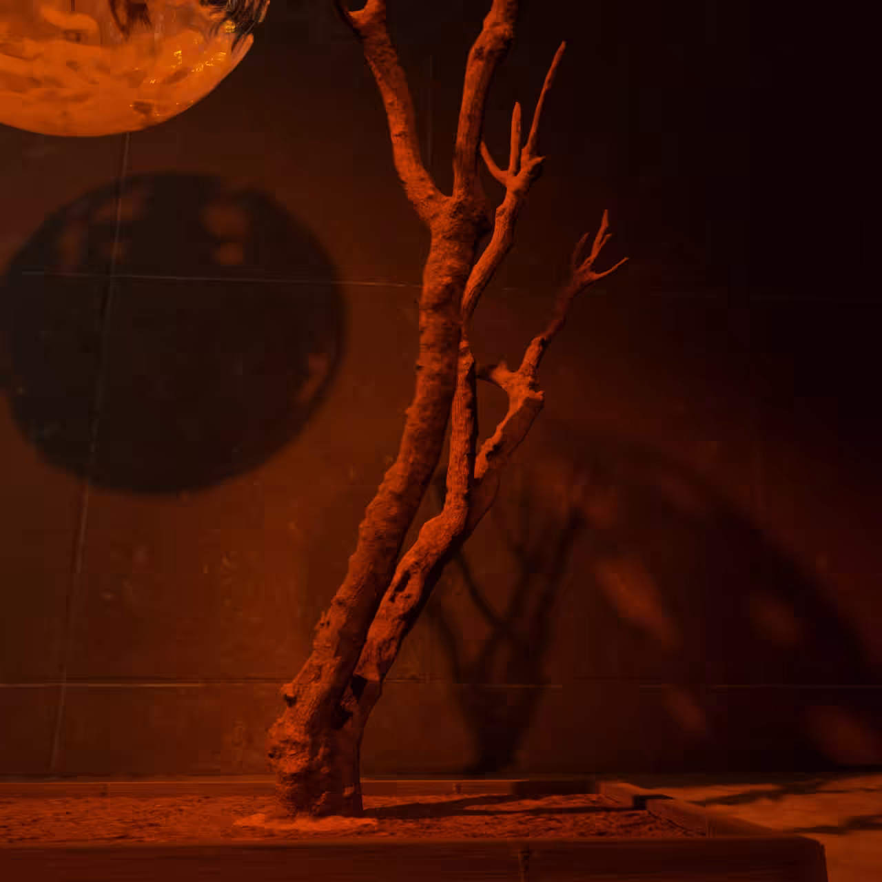 The Last Tree