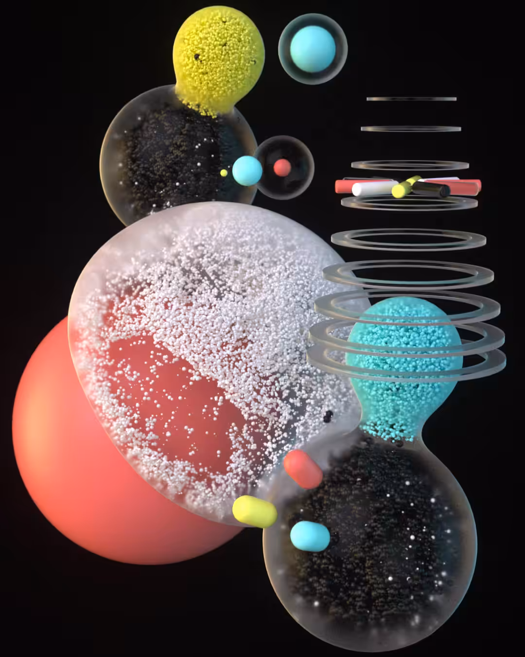 EXP 321