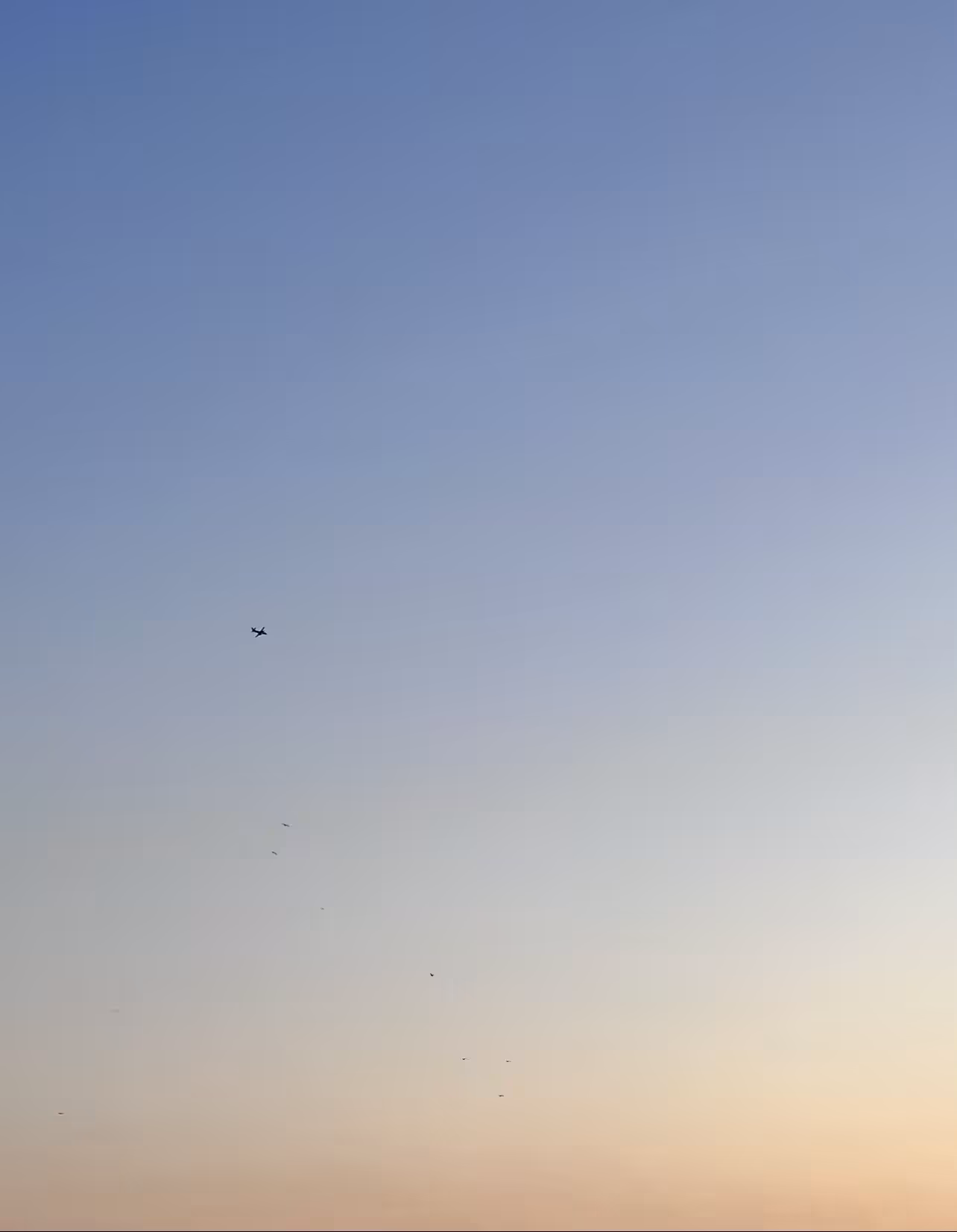 Flying with The Birds