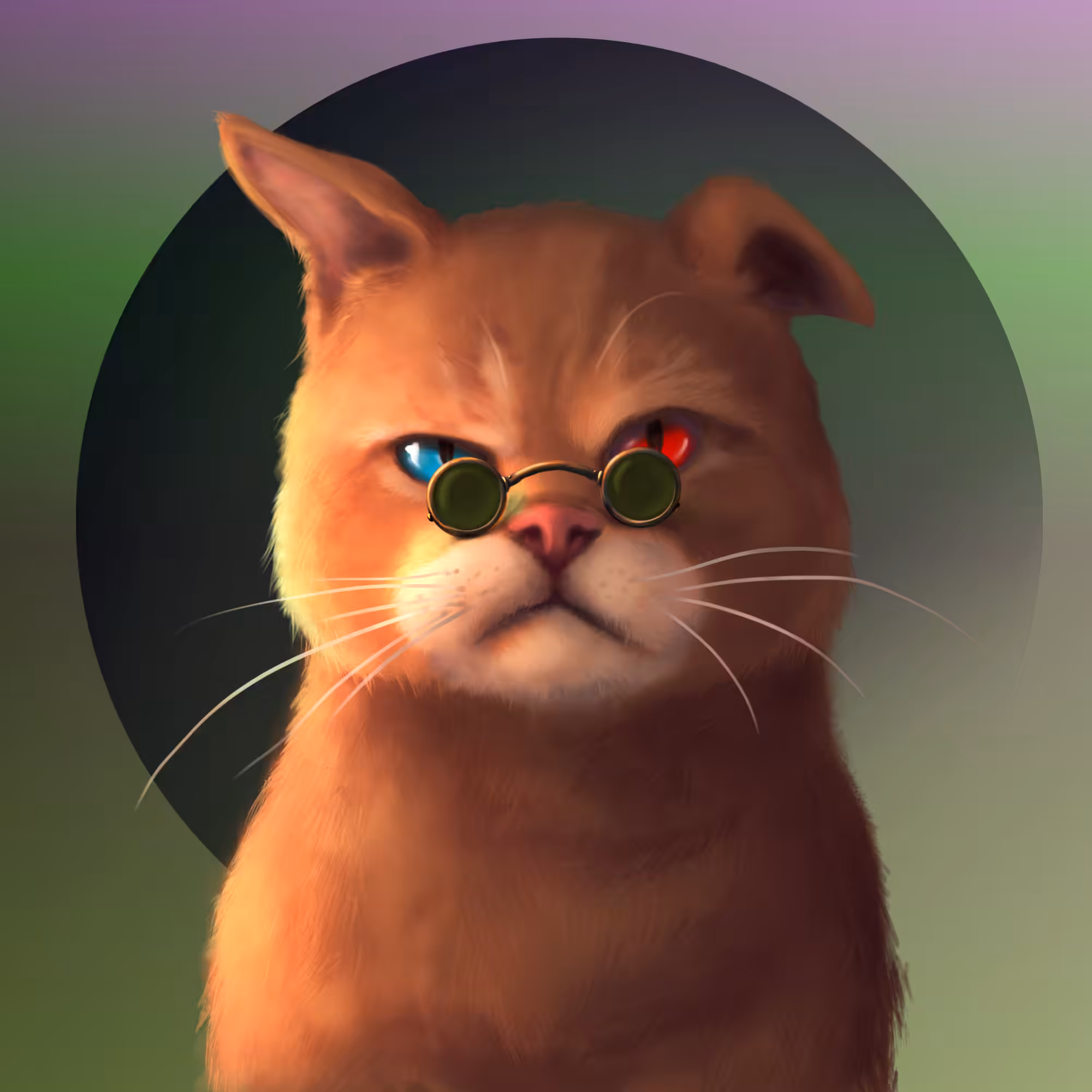 Gangsta Cat #7