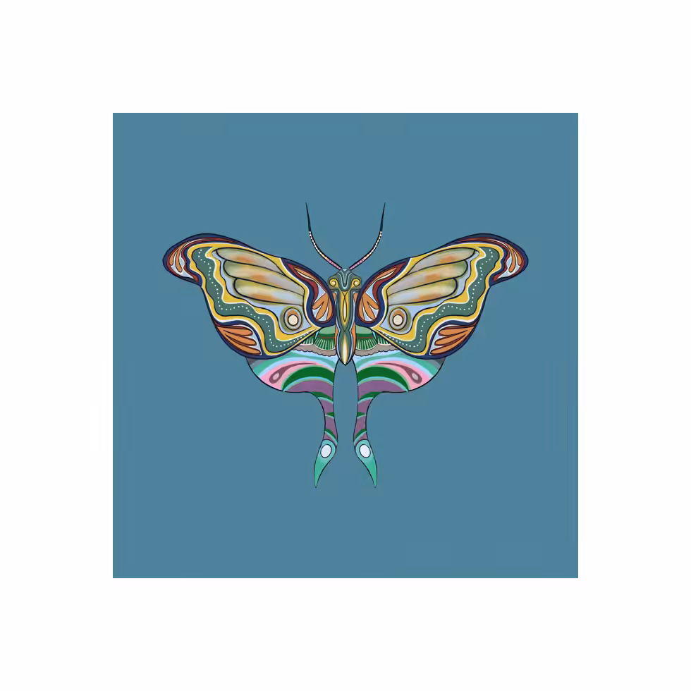 The Moth Experiment  #4