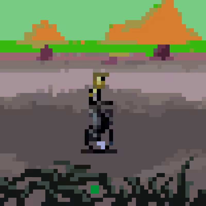 NO ROADMAP #204