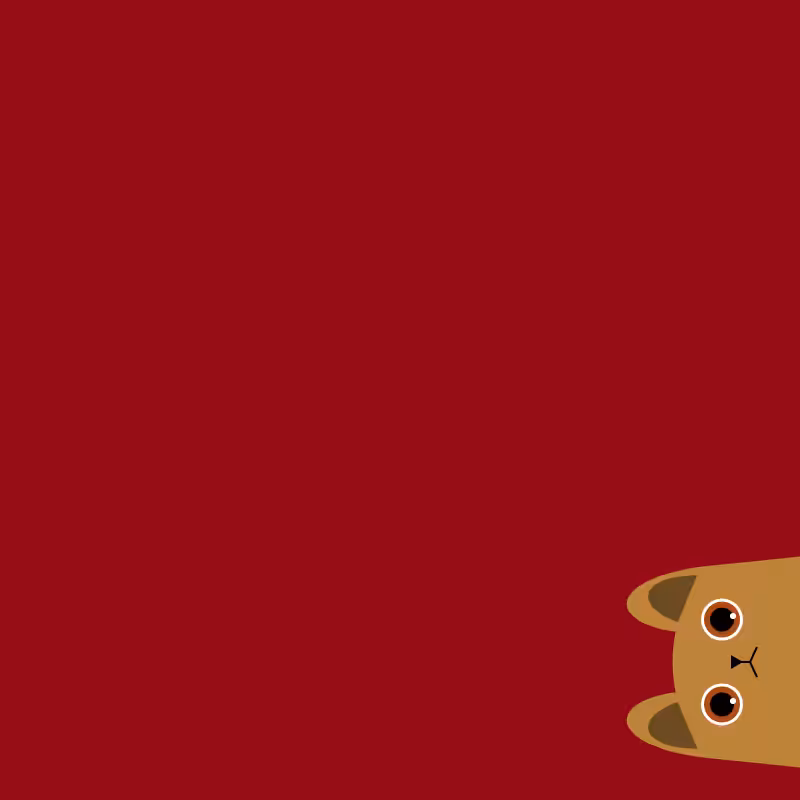 Where is the cat? #1