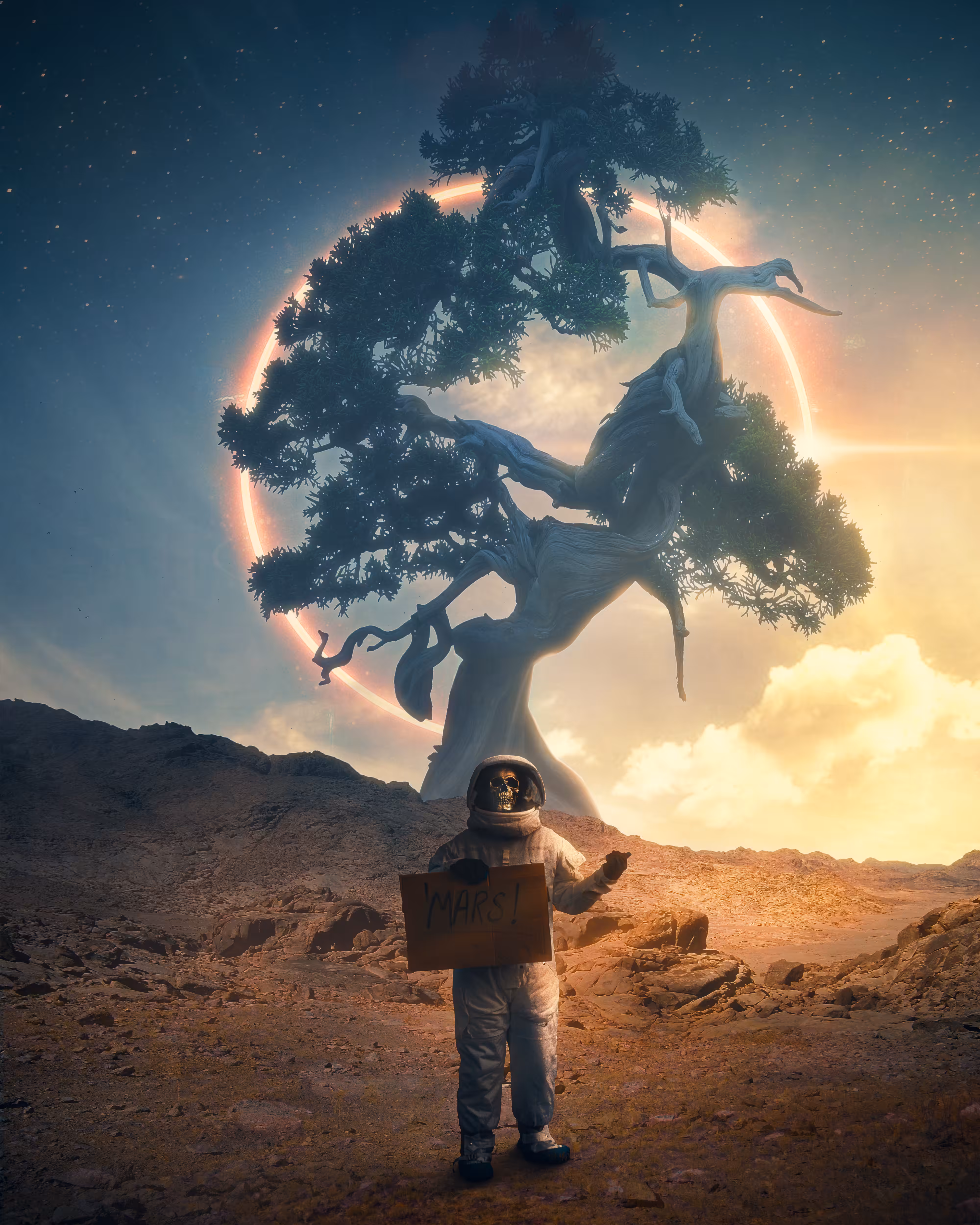 A Space Odyssey