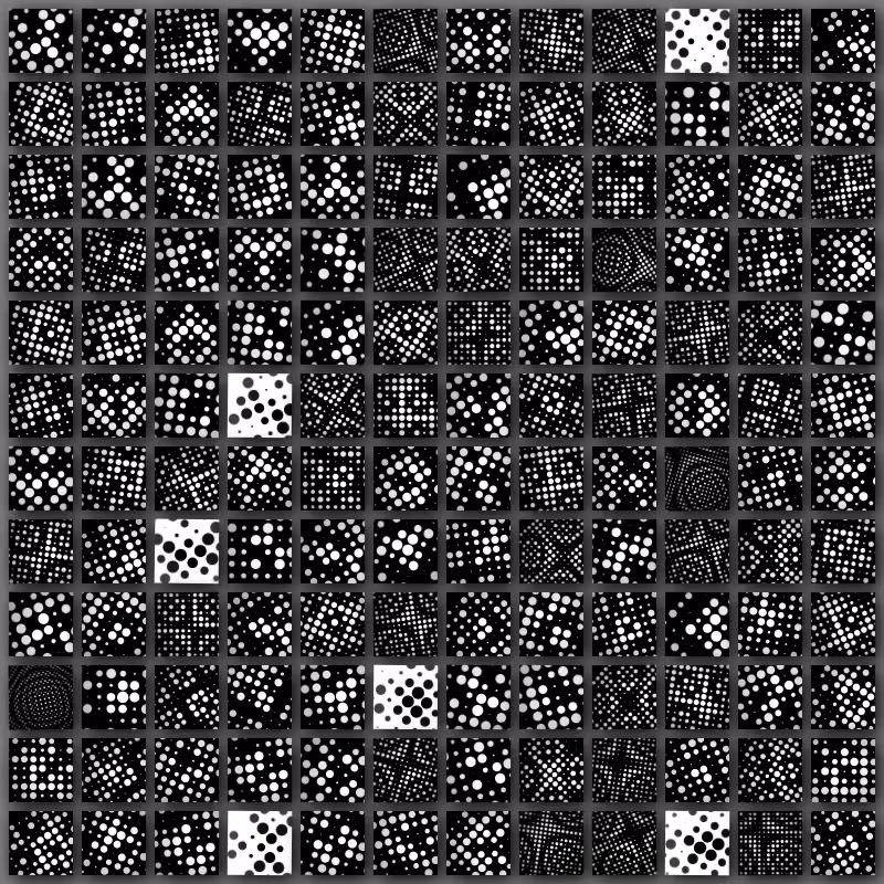 Dalmatian Factory #59