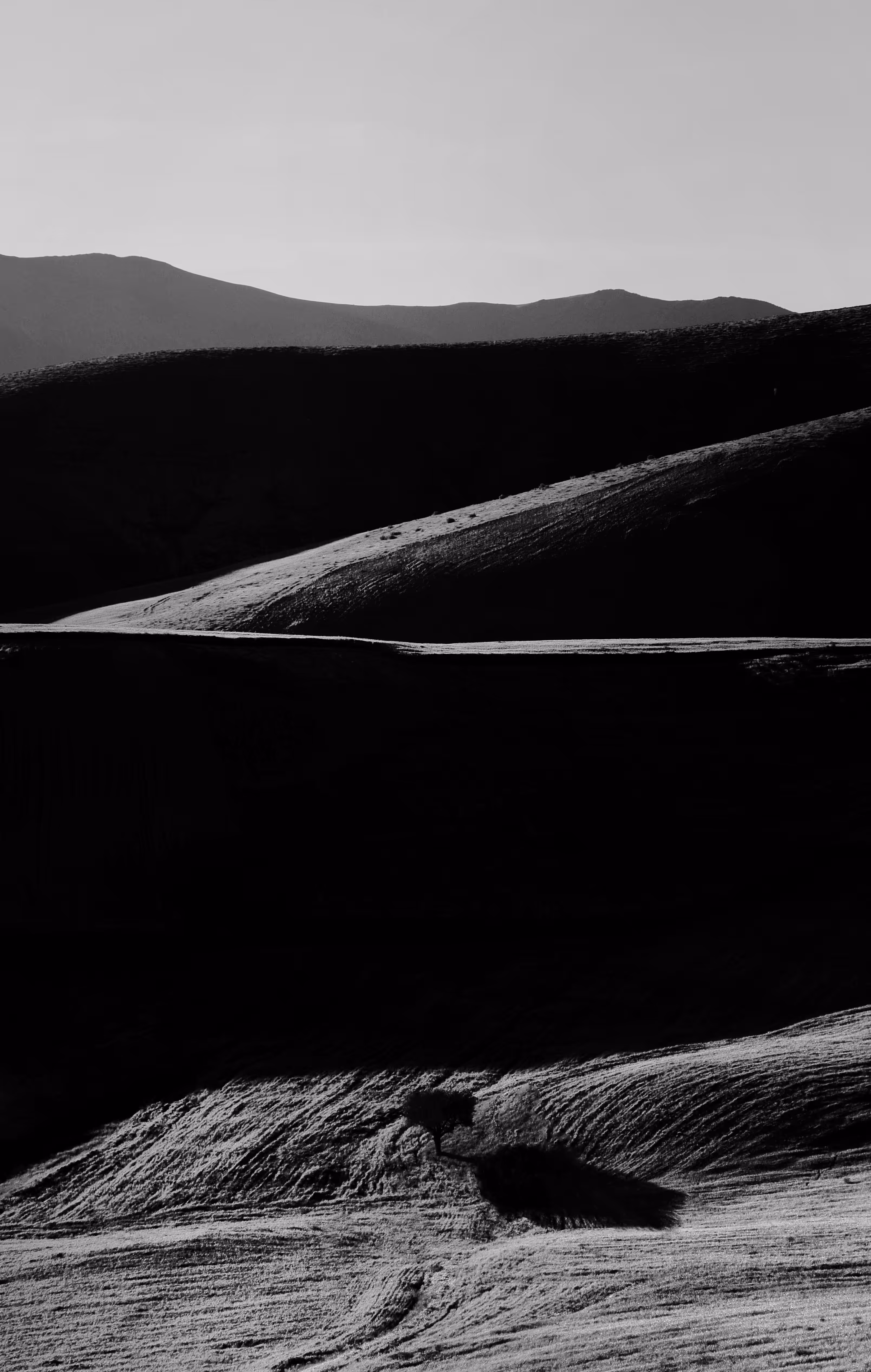 Shadows