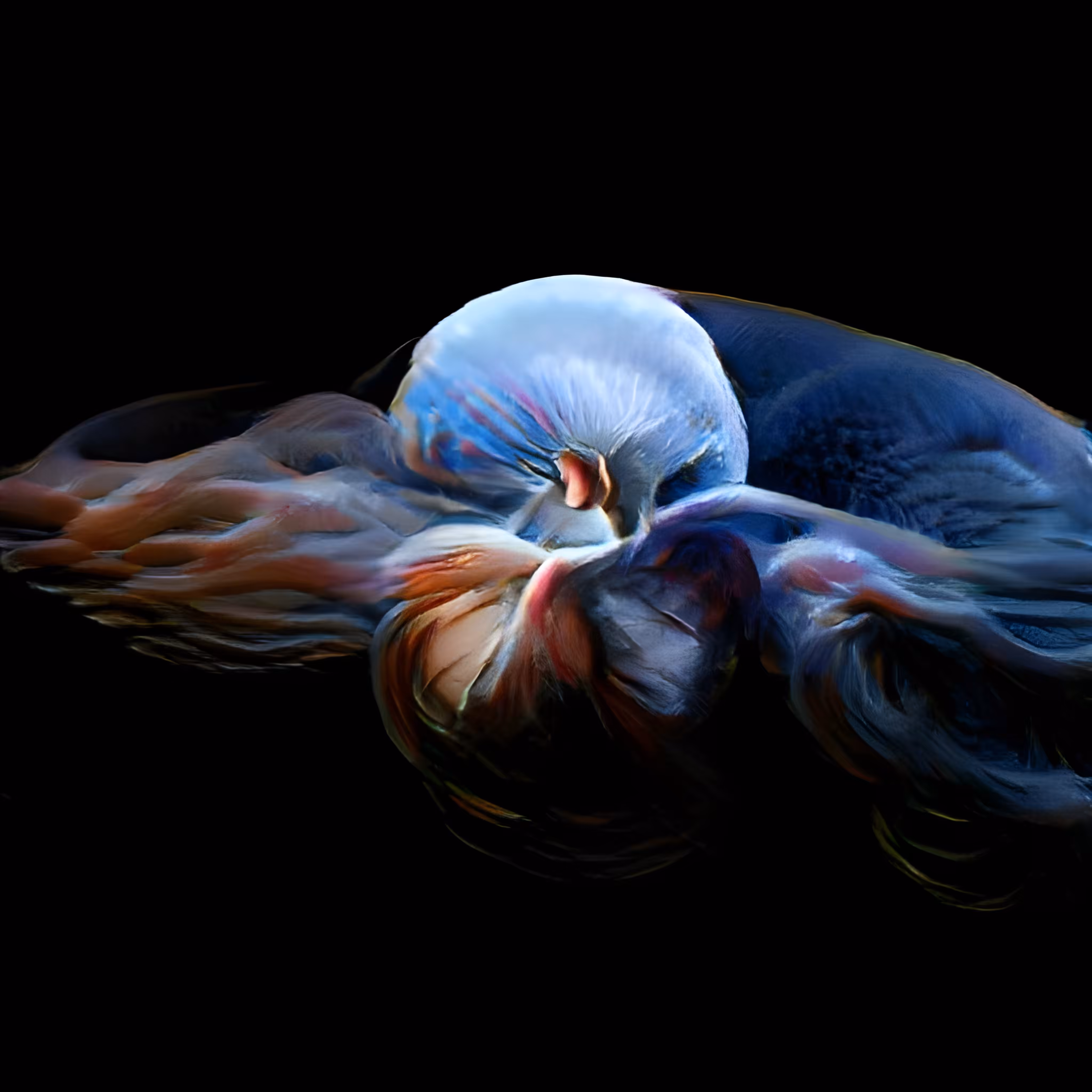 Embryo #7