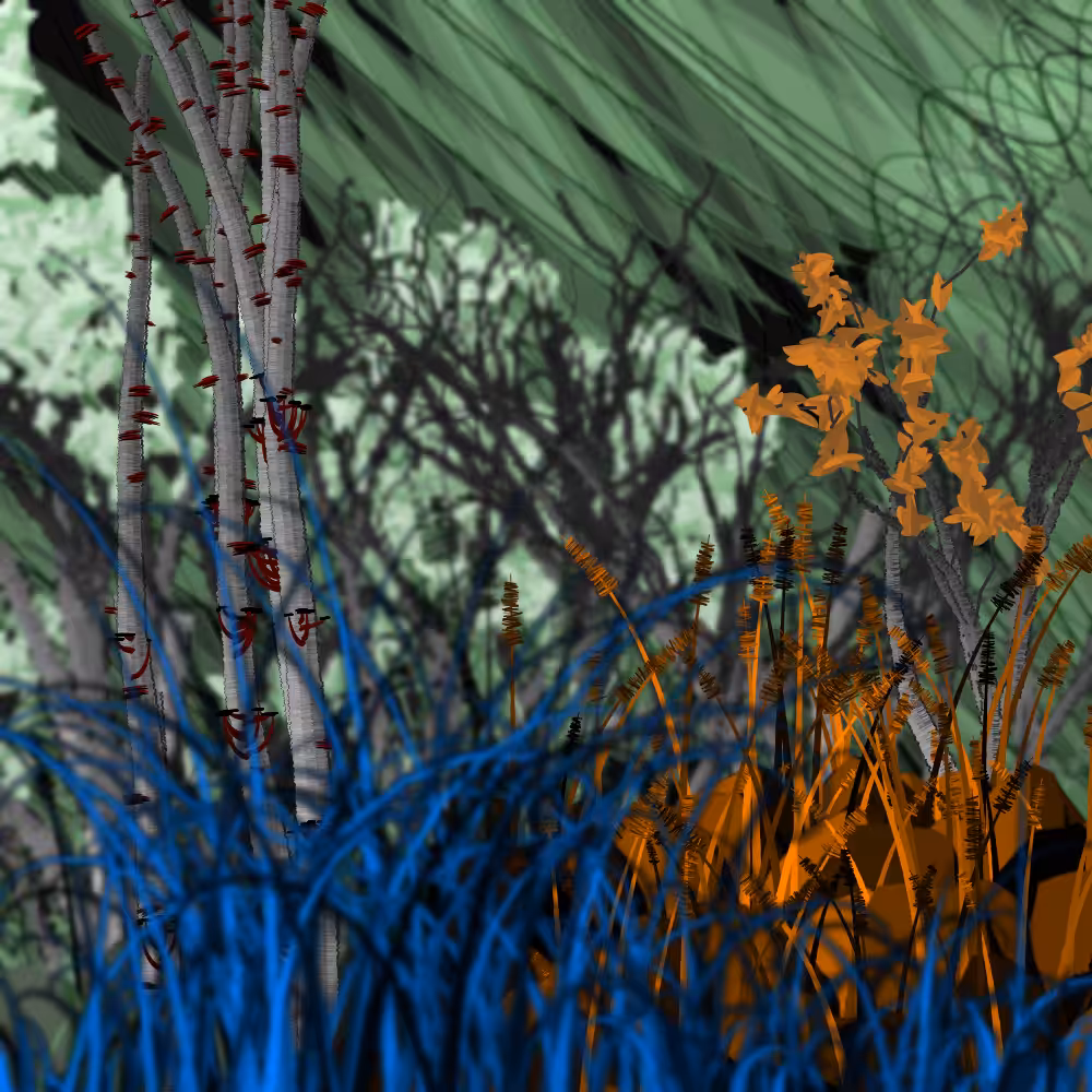 Nature's Vanity: Slideshow #6