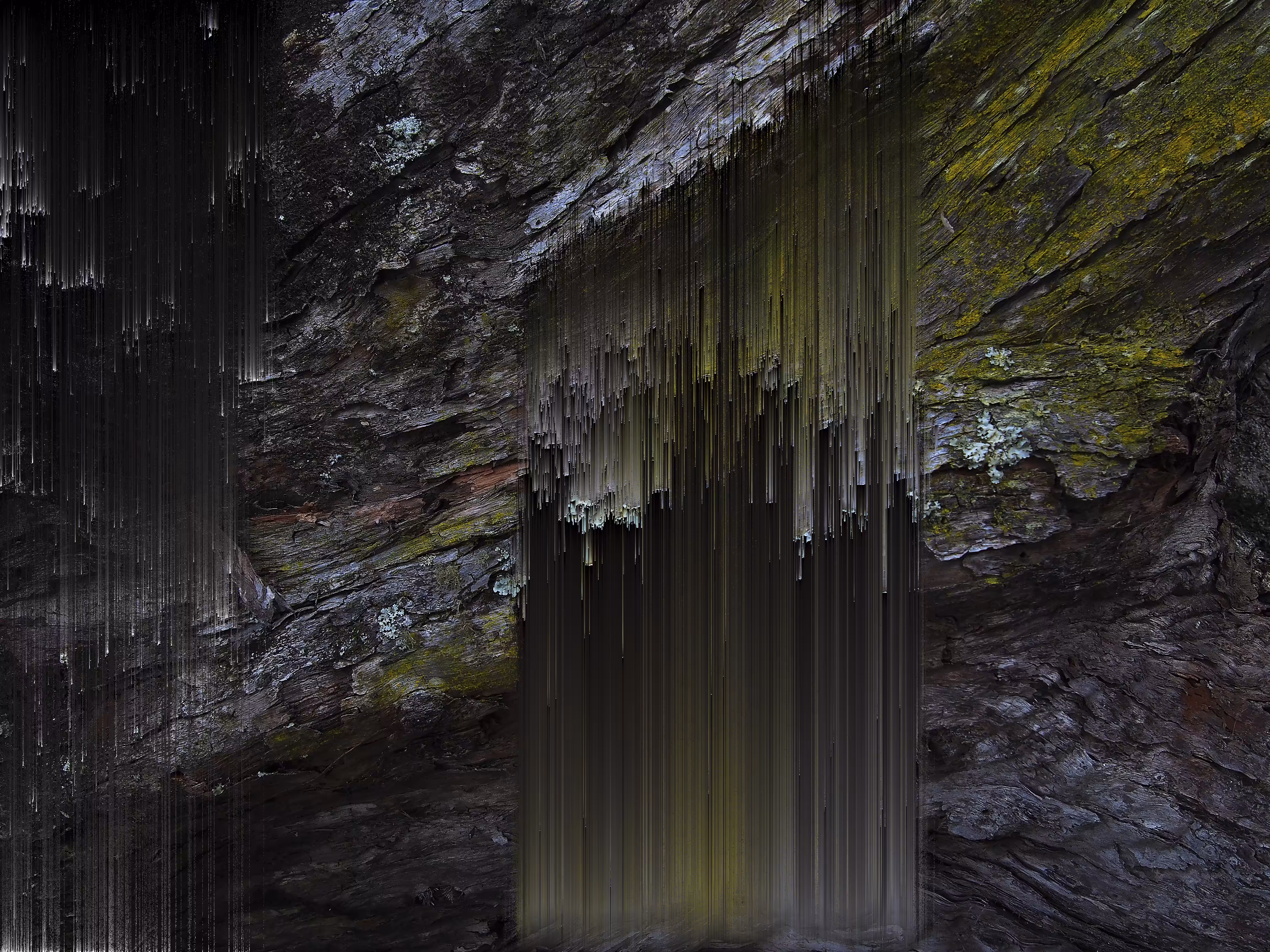 Trunk Pixel Sort 1