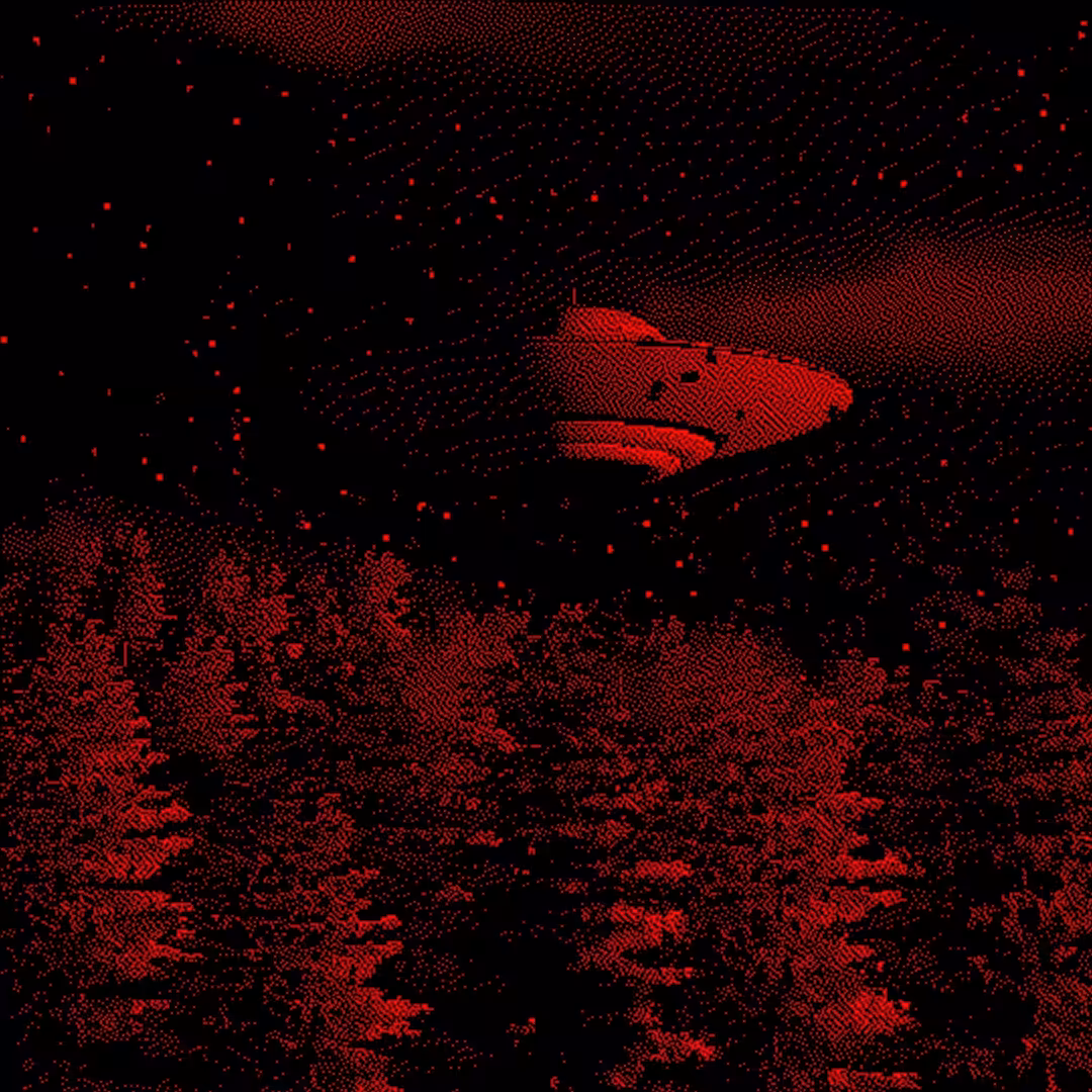 Forest ///