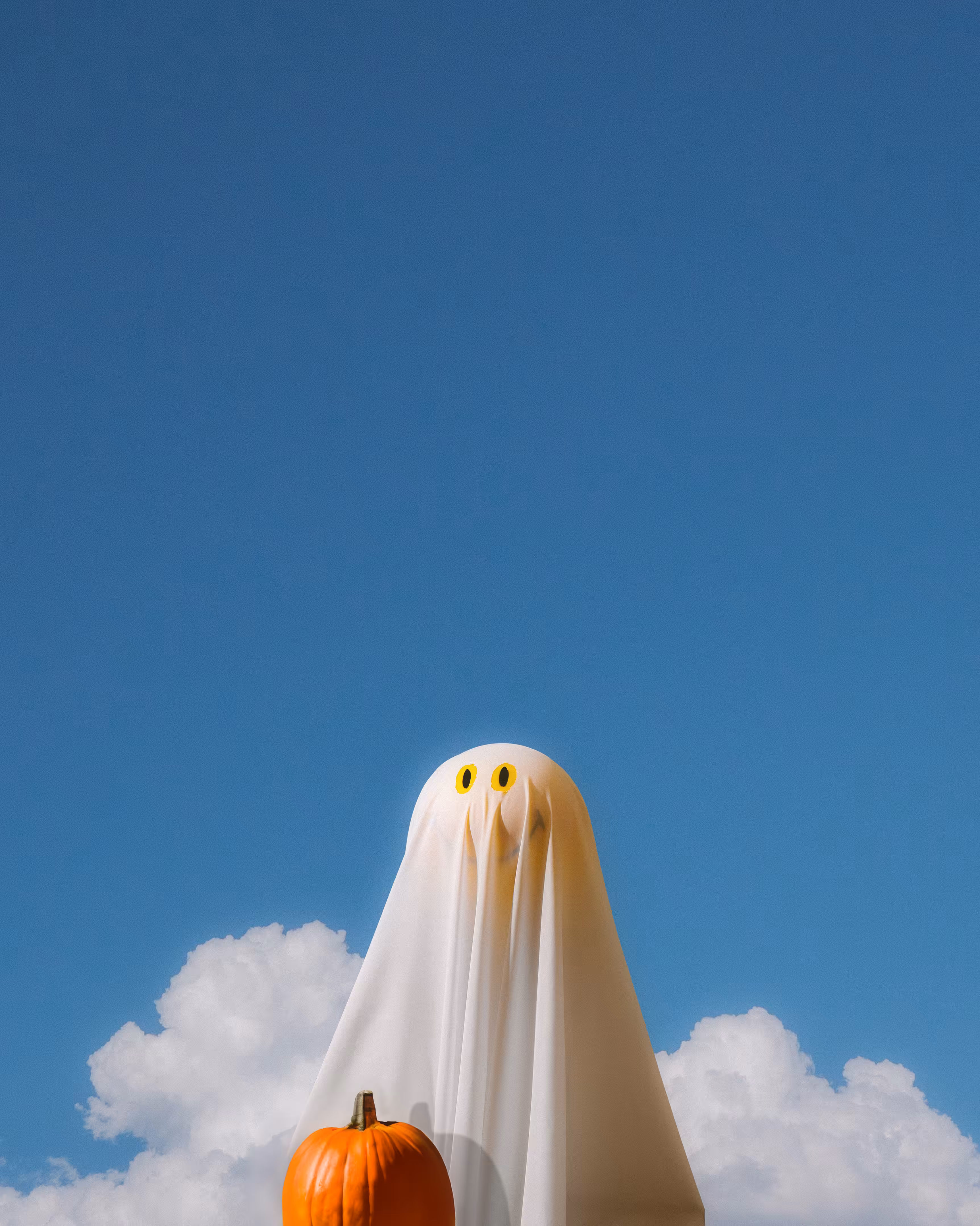 Mr. Boo Sky