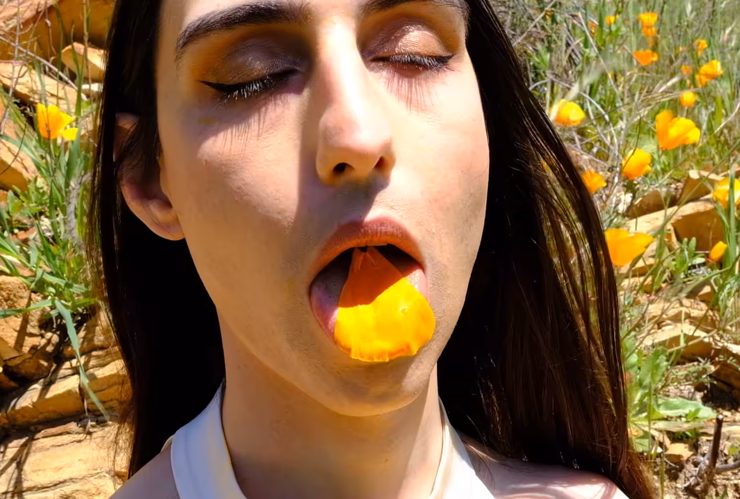 Allure of the Poppy #4