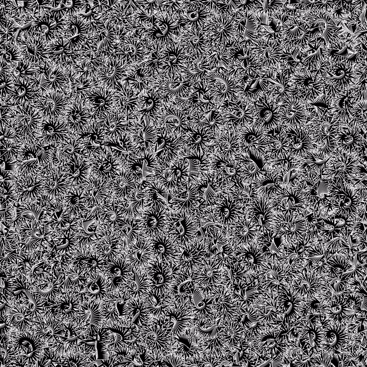Fantacy Carpet #45