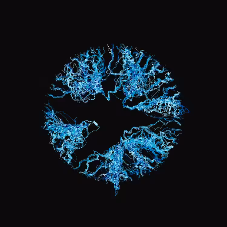 Ginseng #15