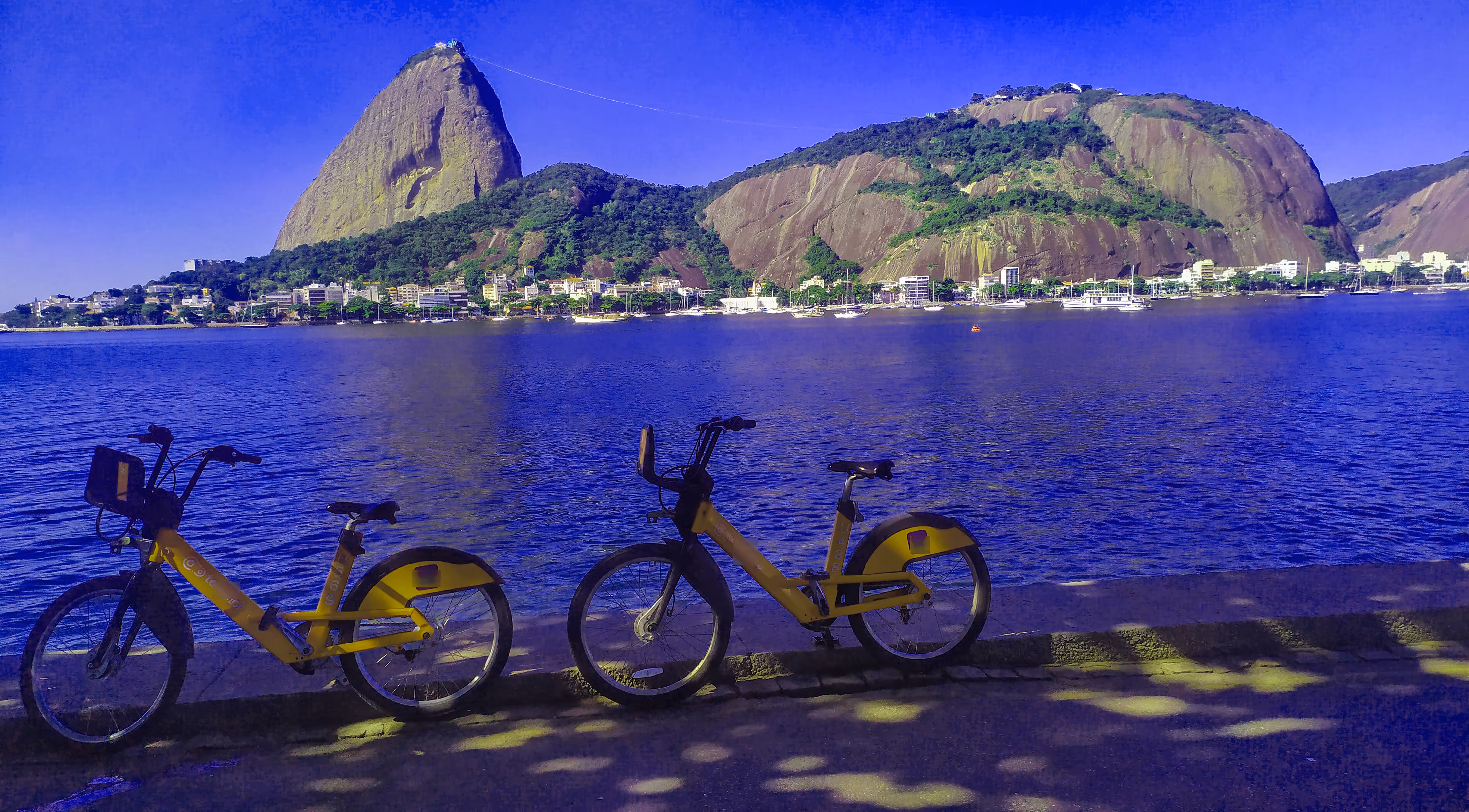Yellow bikes