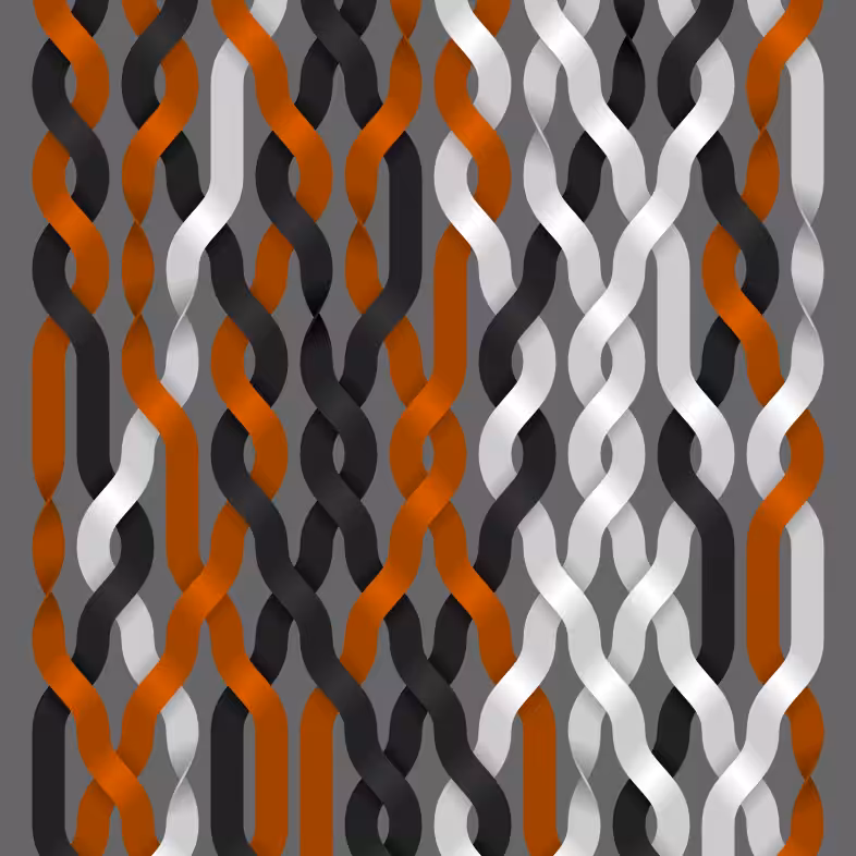 Endless Braids #29