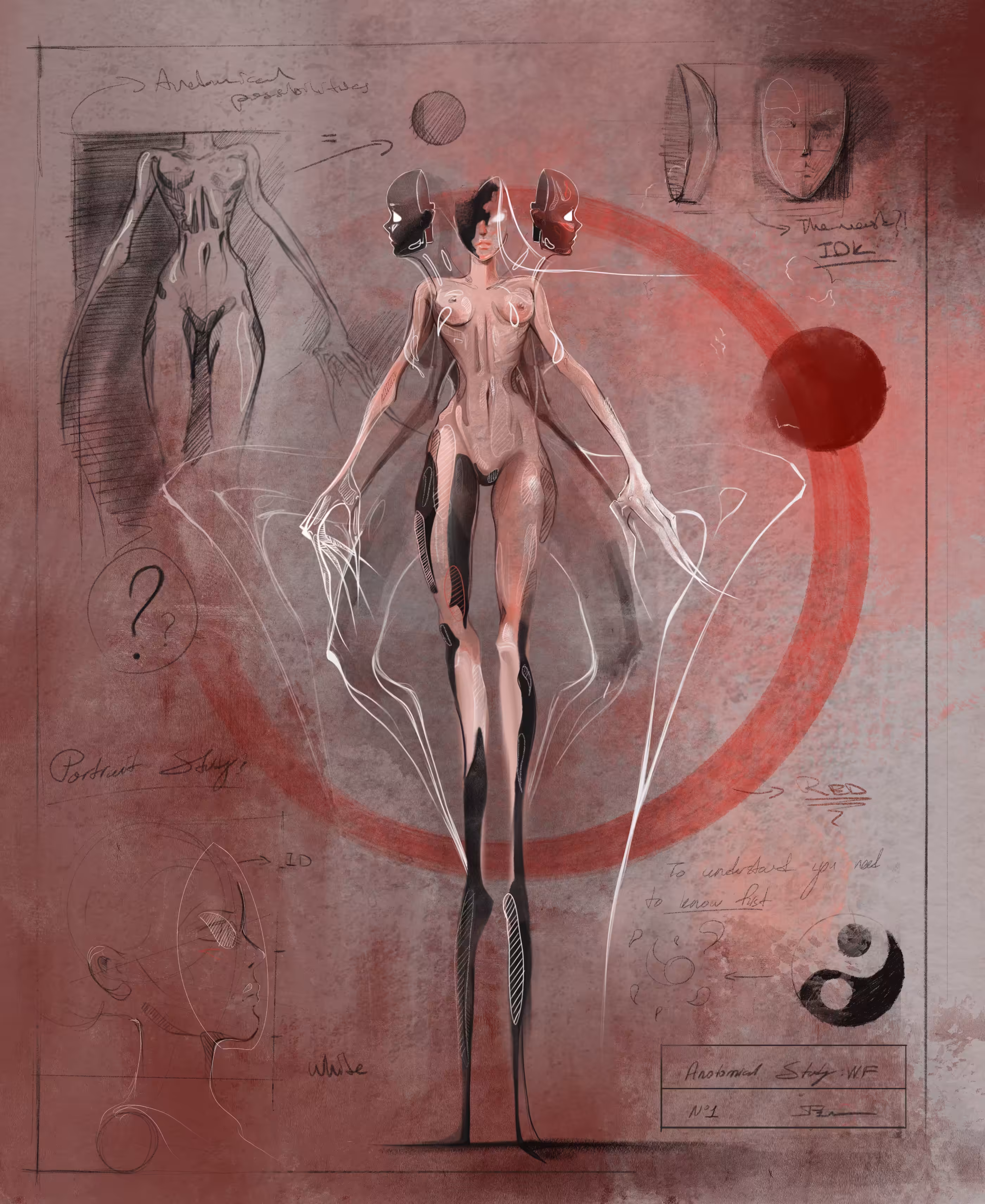 Anatomical Study N°1