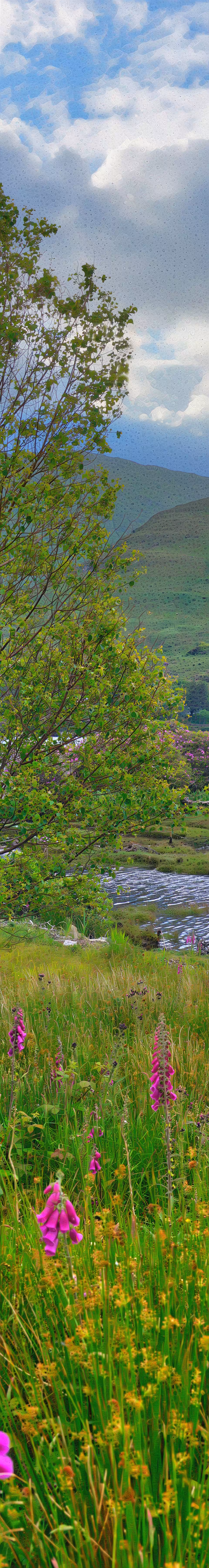 Killary Fjord Dream Scroll (Galway, Ireland) #1
