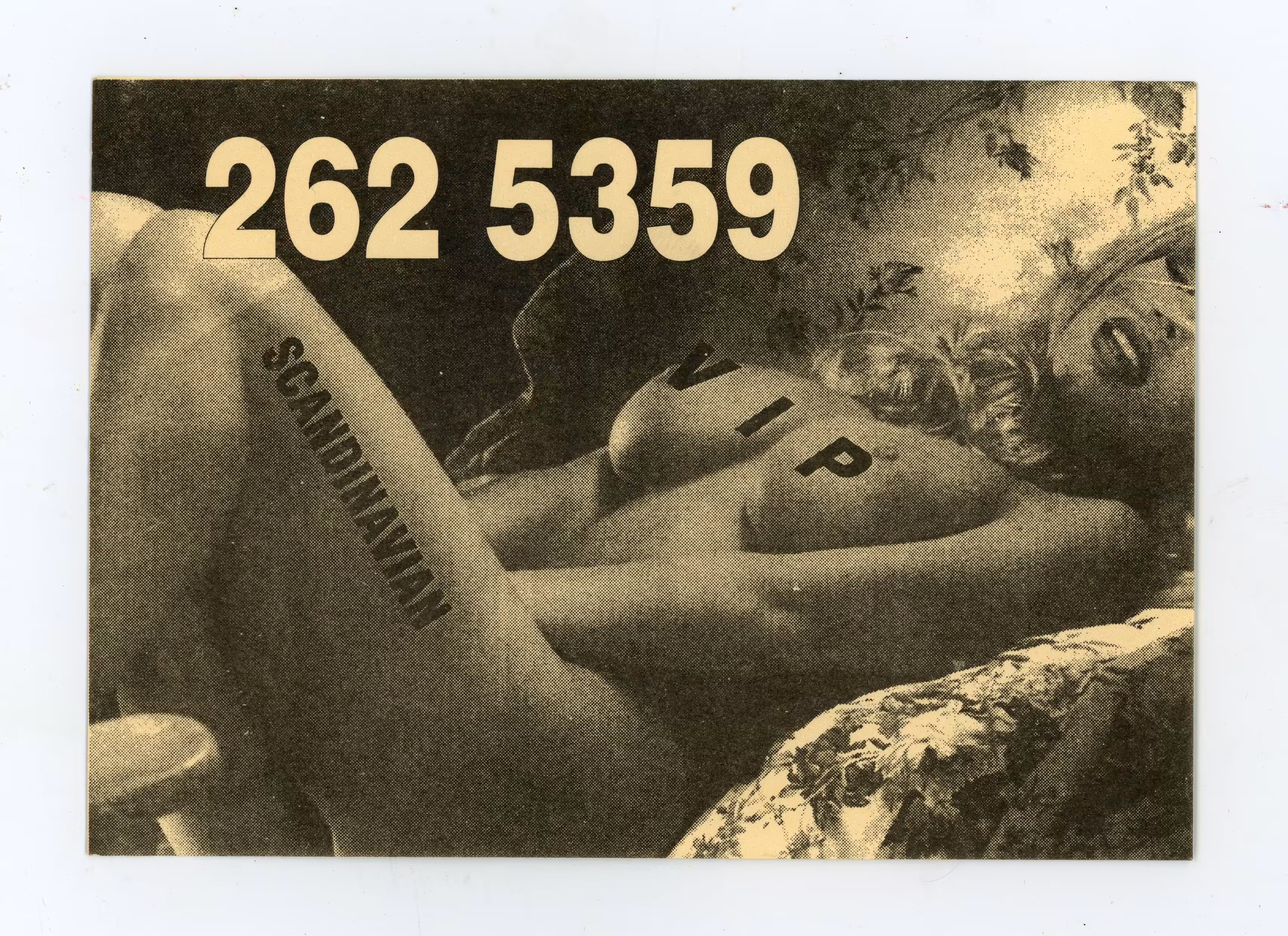 Vintage Erotics #14