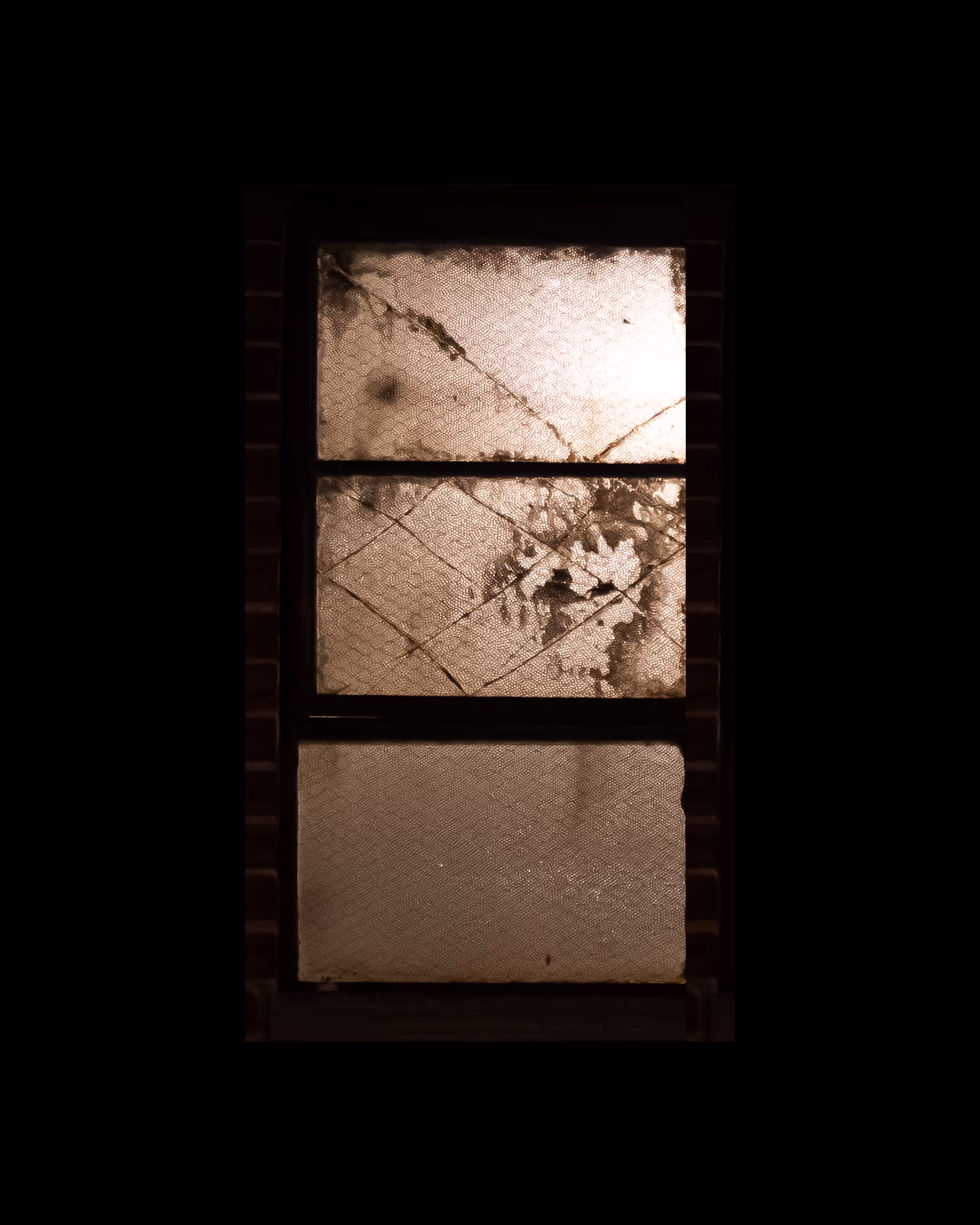 WINDOWS // NYC: WINDOW 916