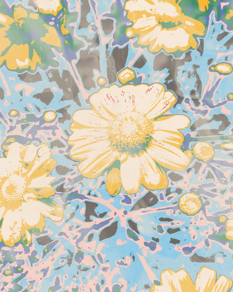 pocketfullofdaisies 