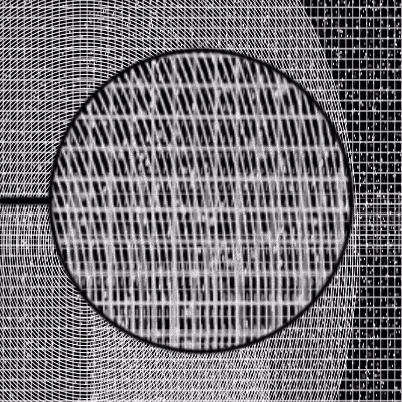 MICROSCOPY #14