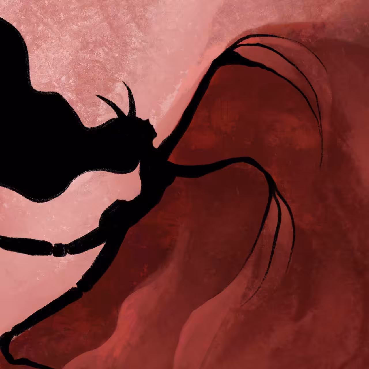 Silent Shadows: Vein
