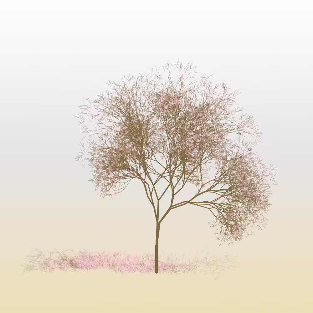 Hanami #15