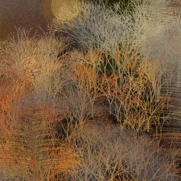 Moonlit Native Bush #63