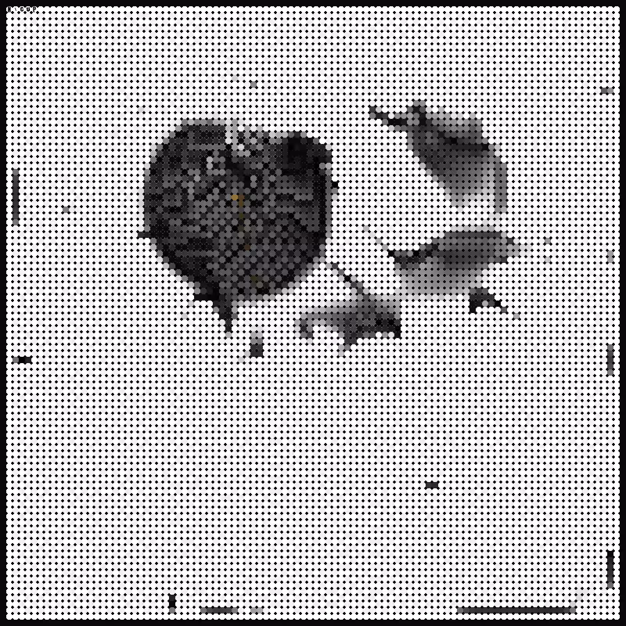 The Process: Black Heart
