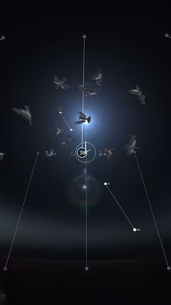 2 am 20 birds