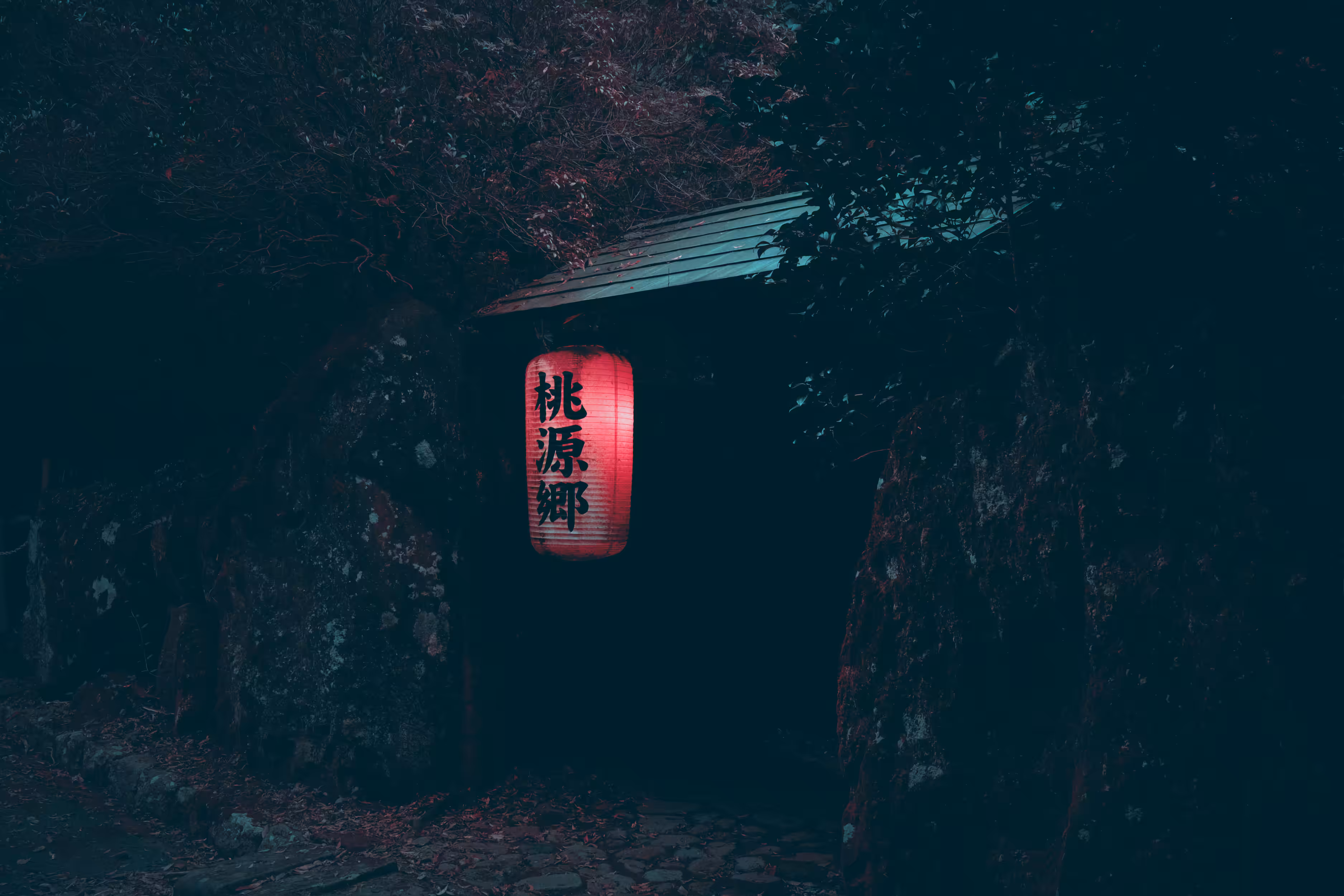 Whispers of the Night Lantern