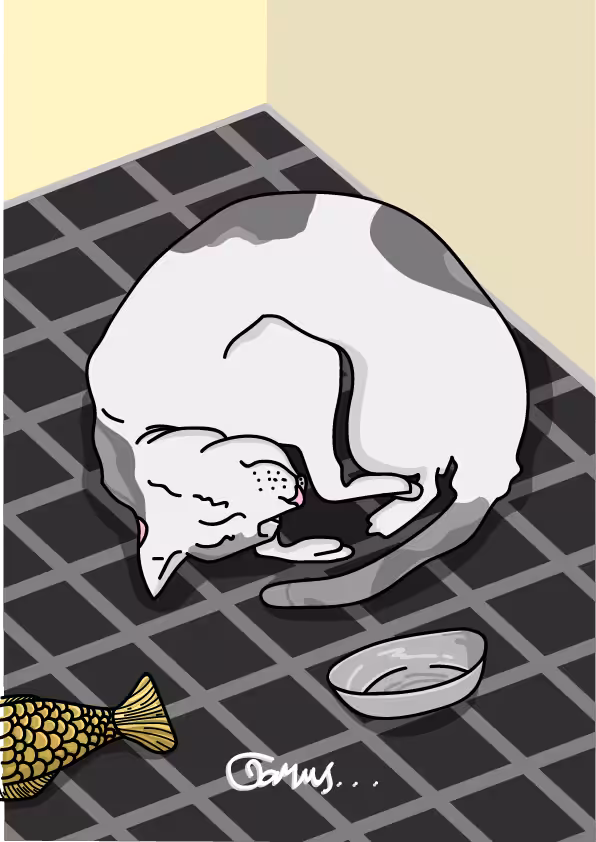 The Cat