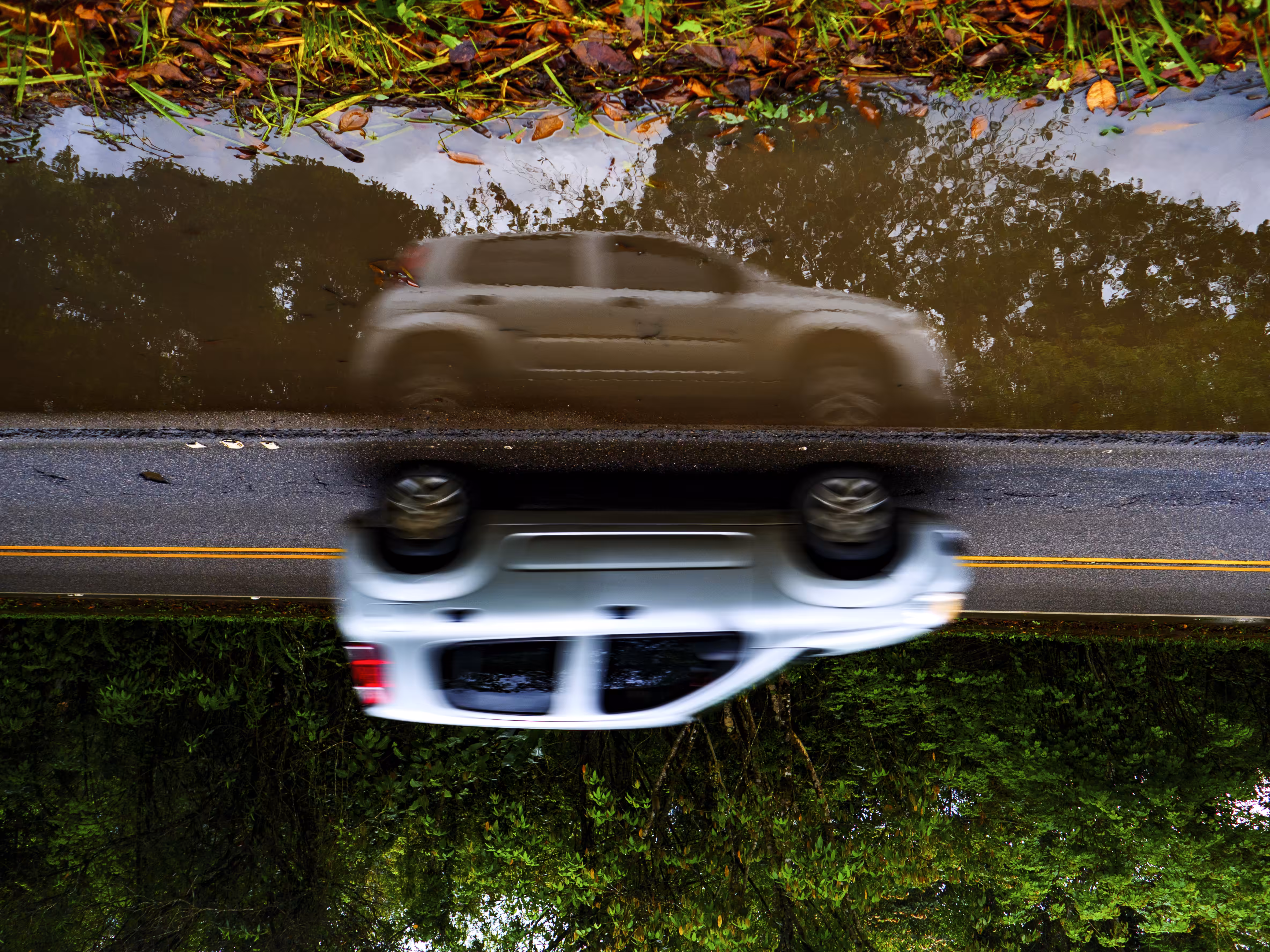 Disoriented-Road#1