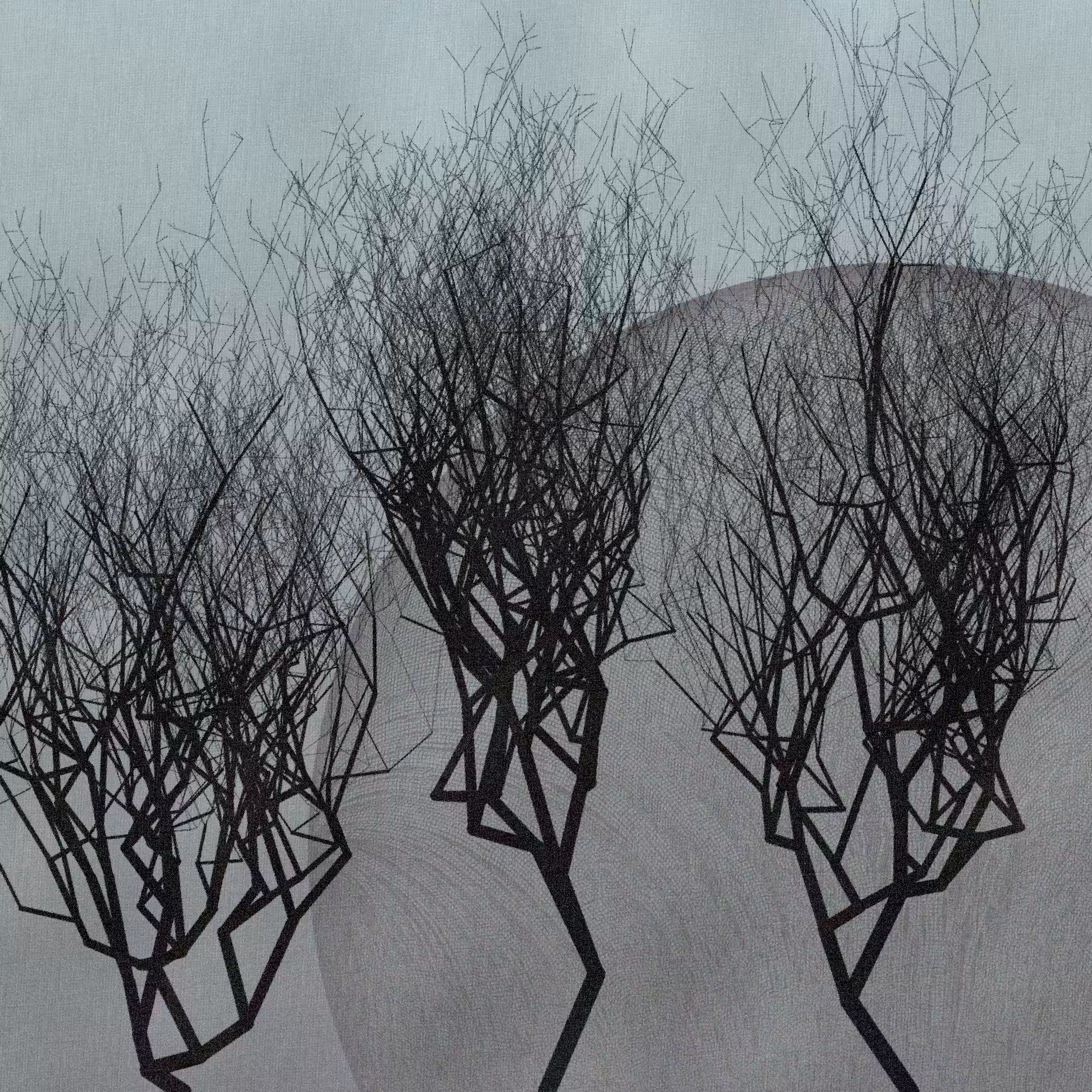 Three dead trees on earth #142
