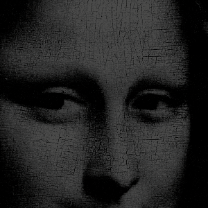 REVERSED WORLD: Reversed Monalisa