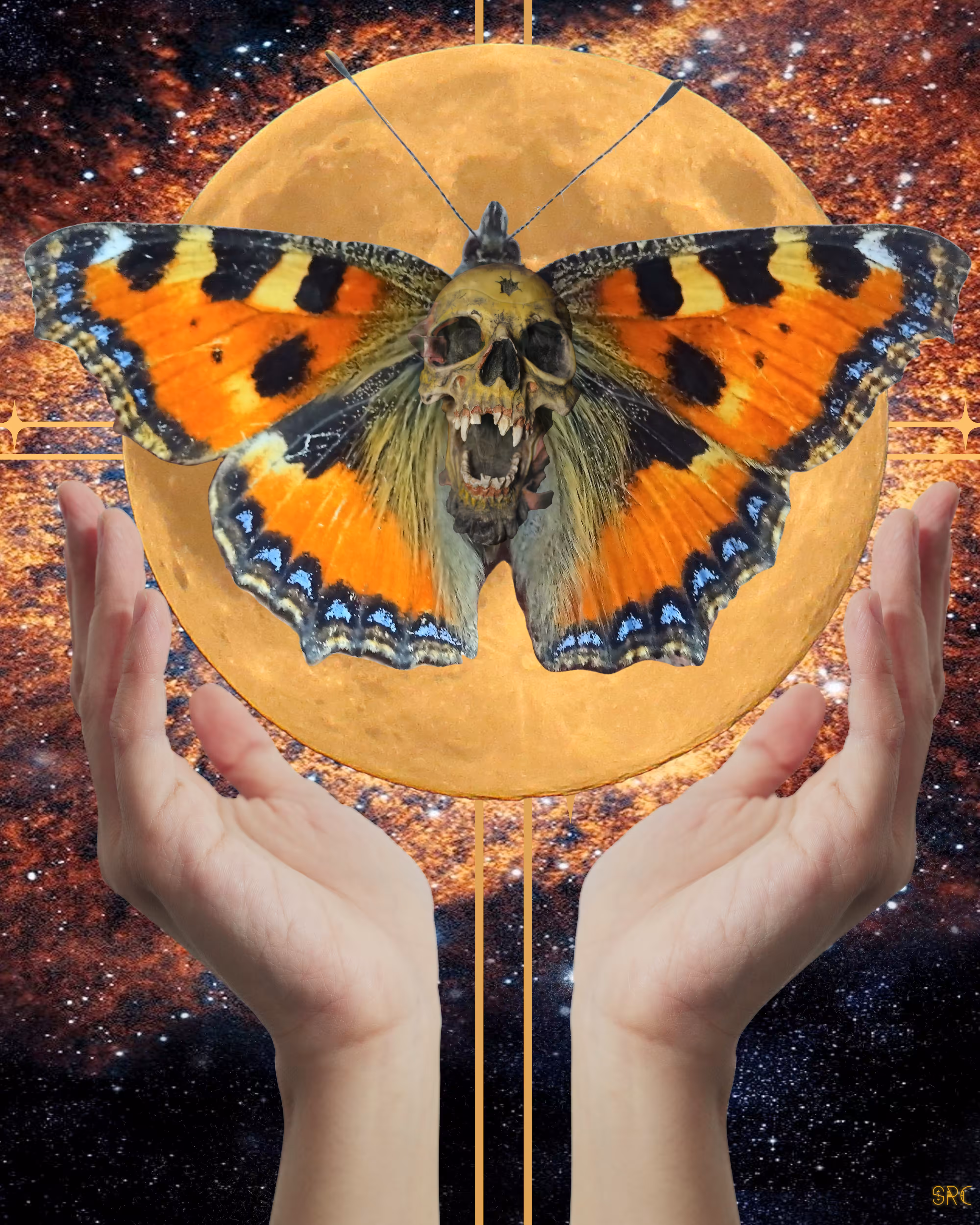 Embrace the Lunacy