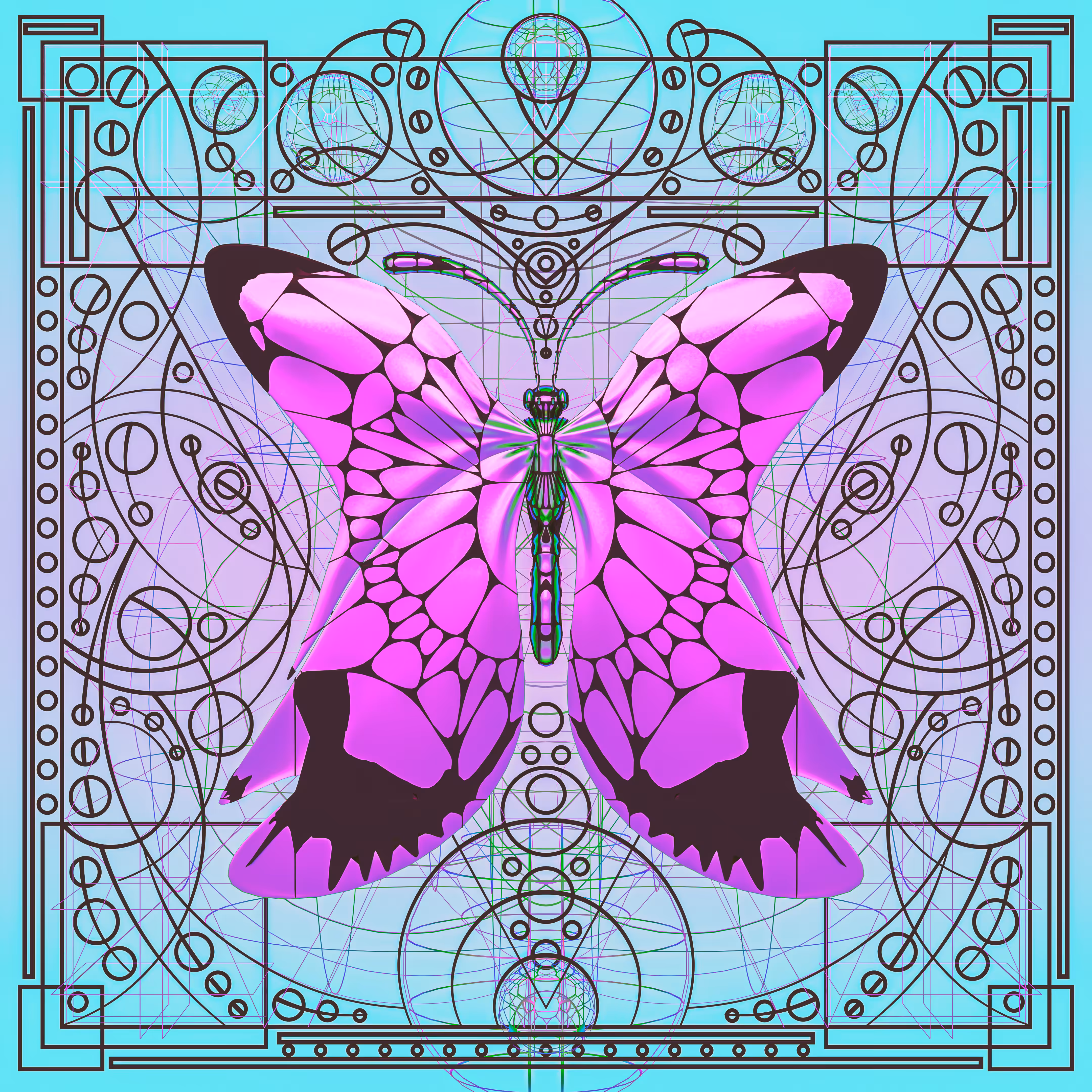 Butterfly