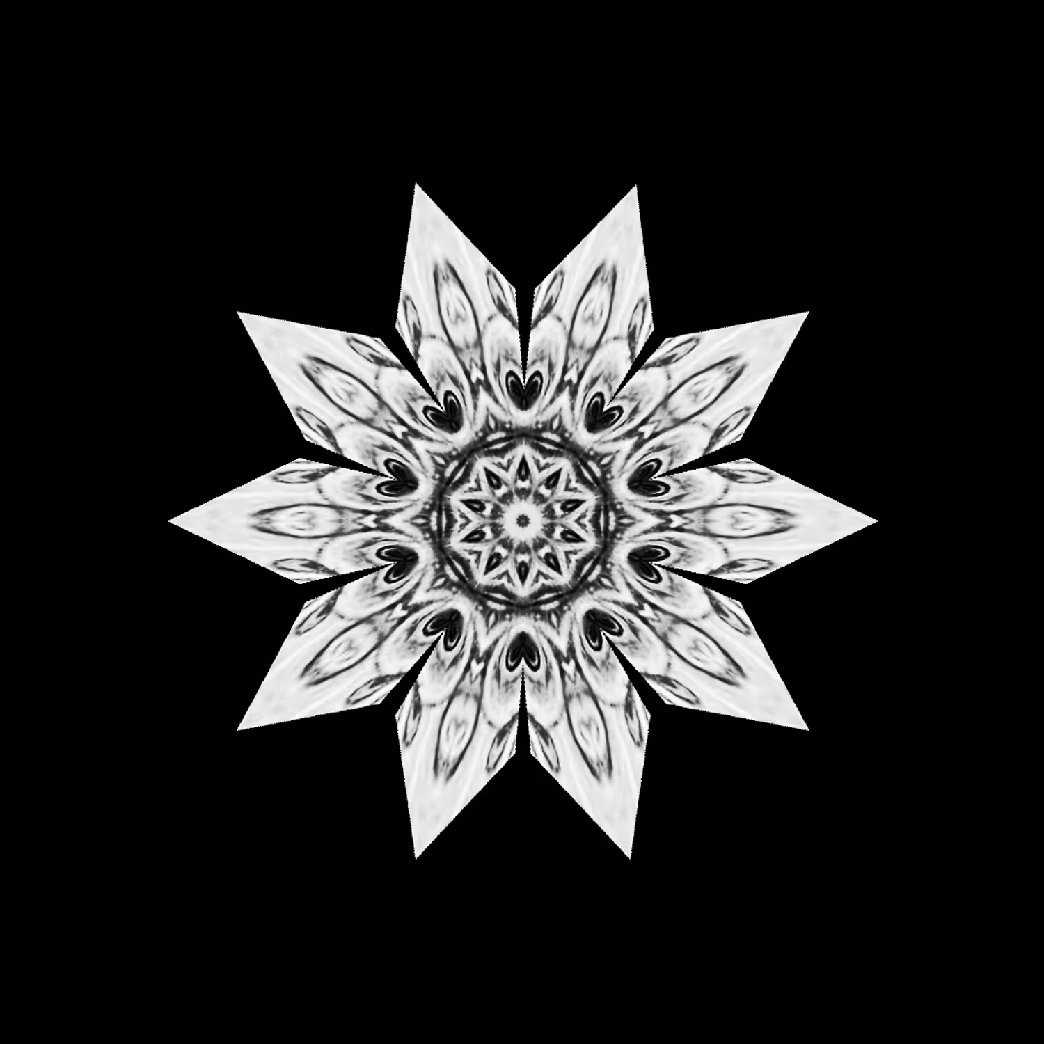 Black & White #002