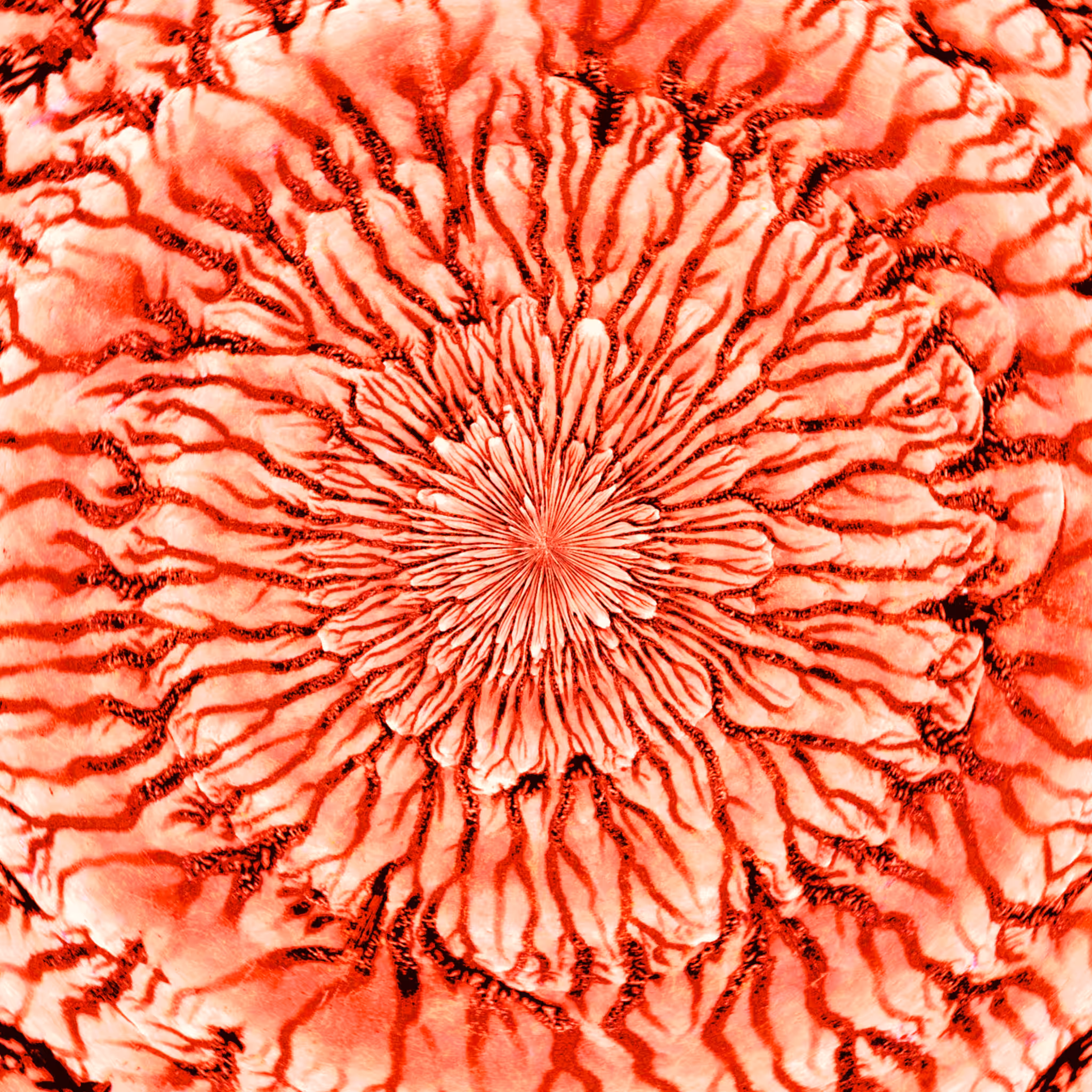 Synesthesia 23-2 Blood