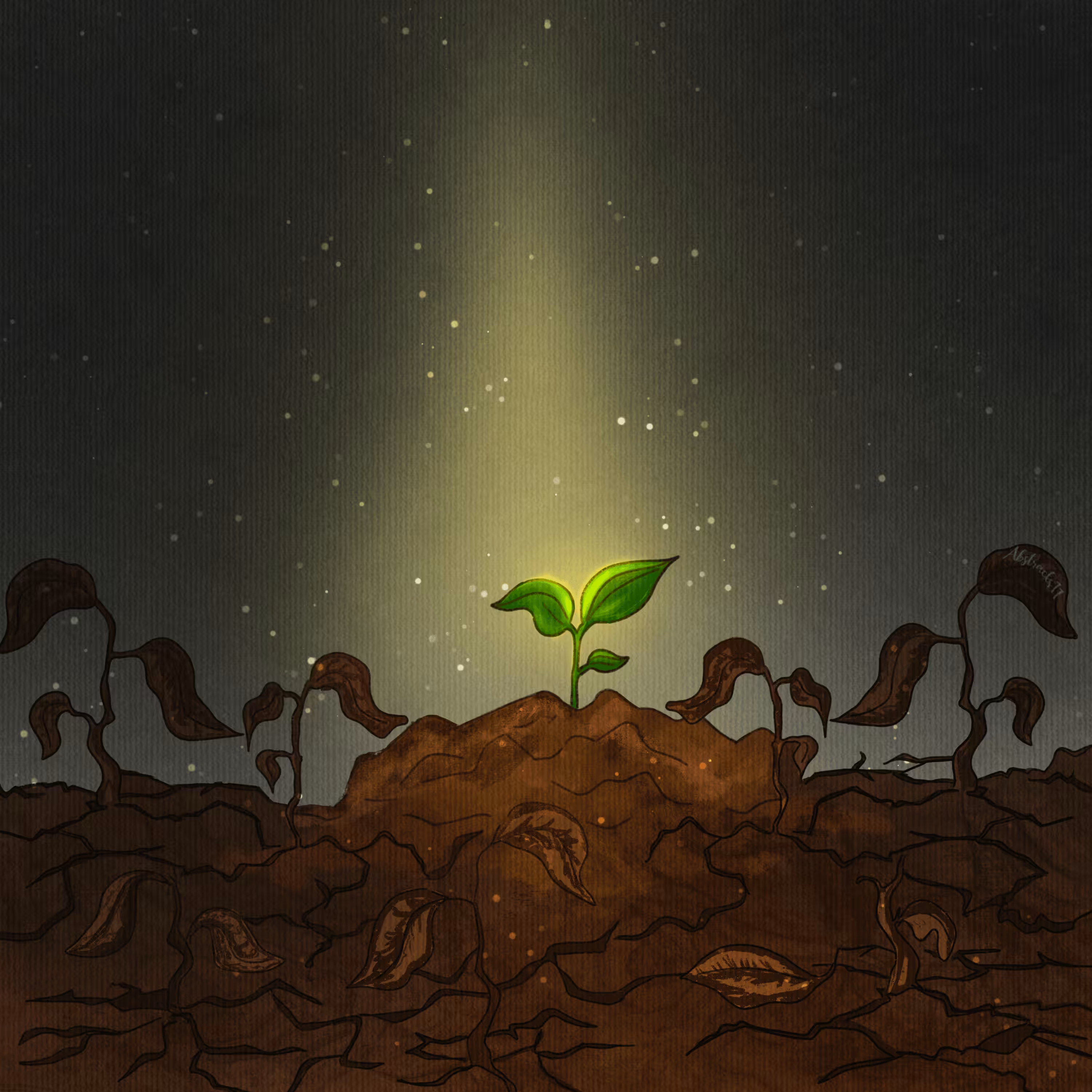 Day 2 - Hope for Save Soil