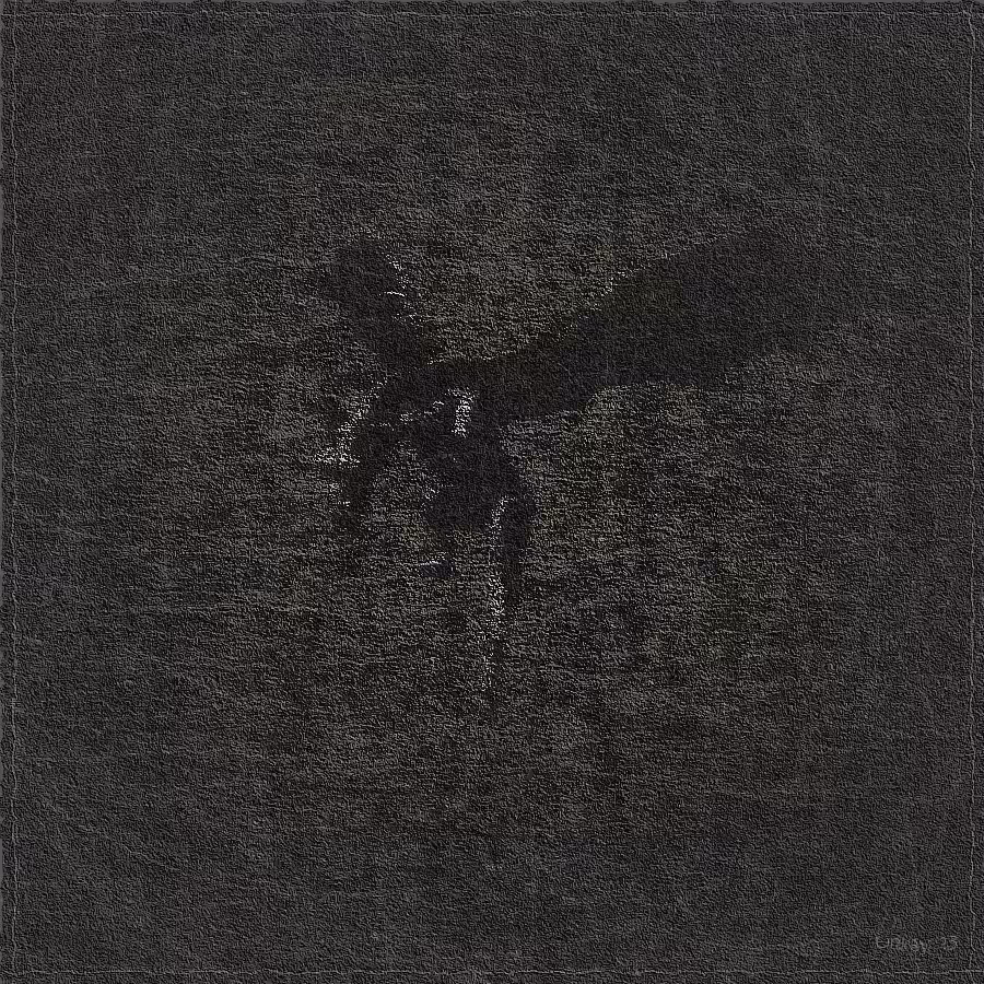 The Spirit of Dragon #31