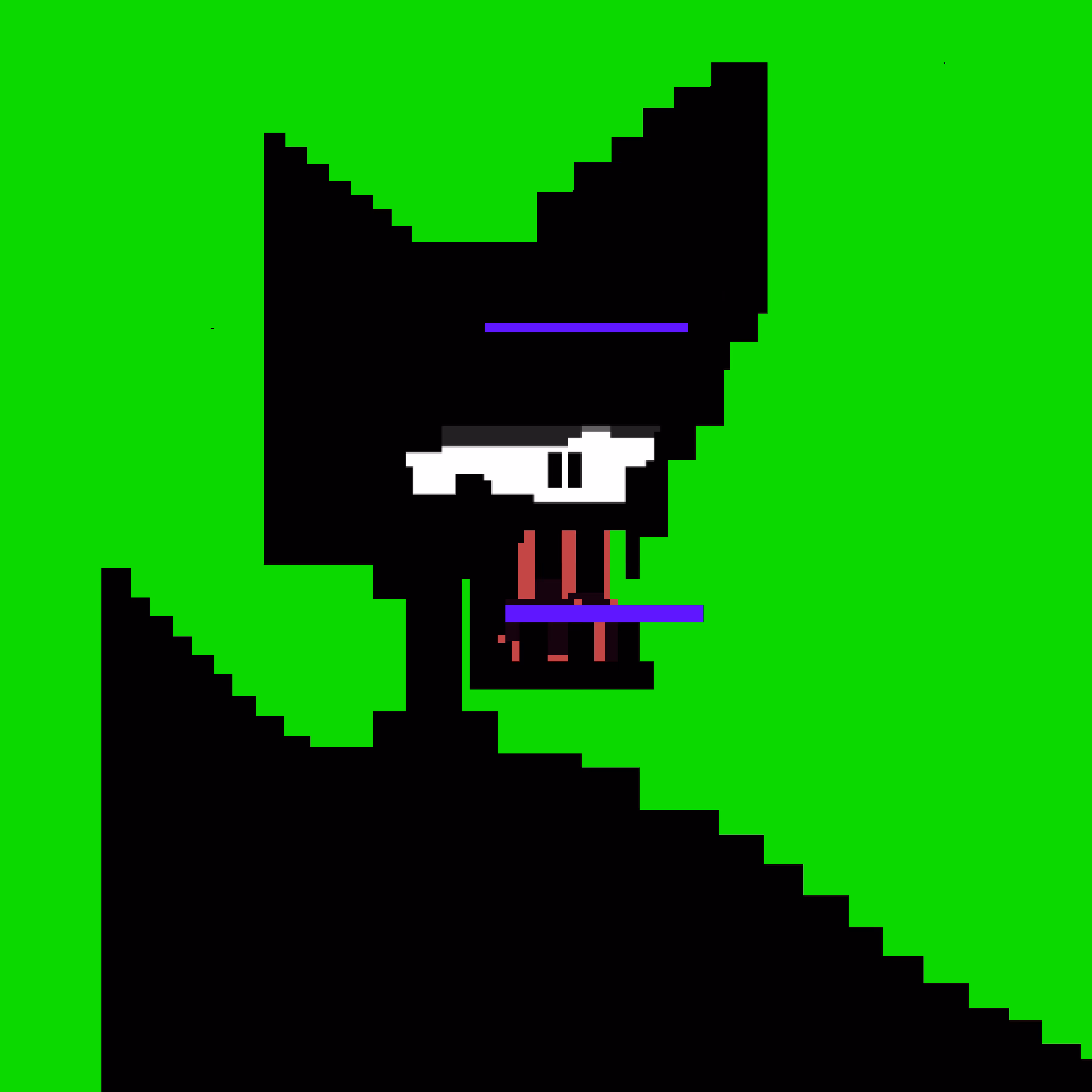 Kasp Punk 00102