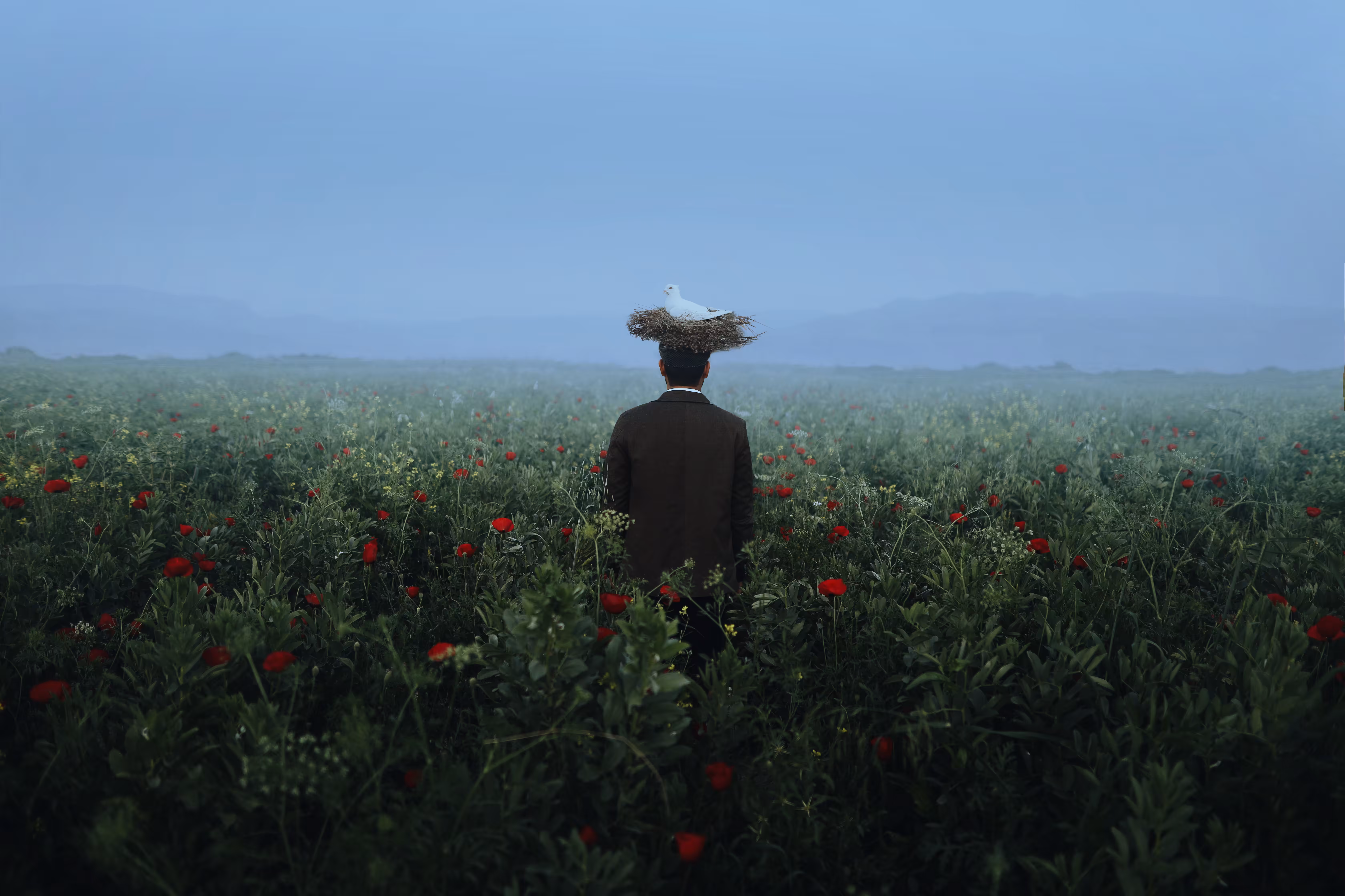 The thoughts of peace