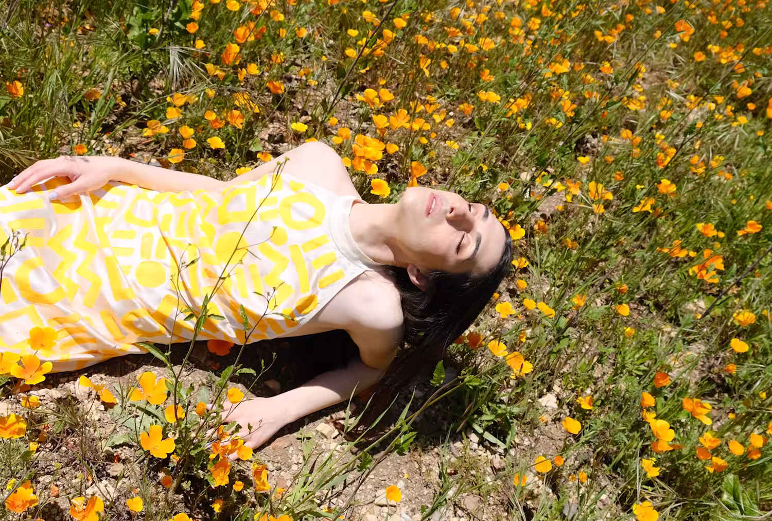 Allure of the Poppy #21