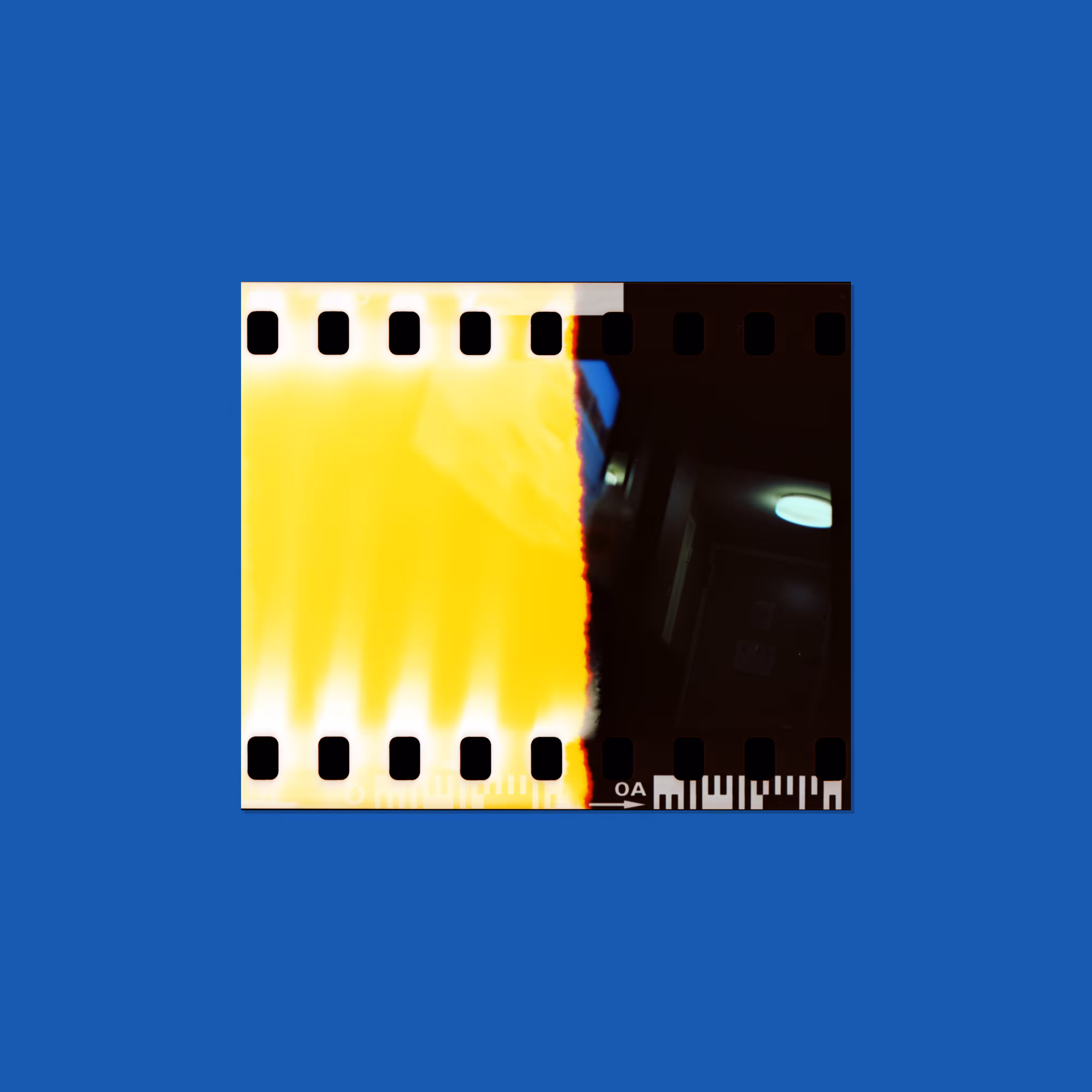 Forgottez #009