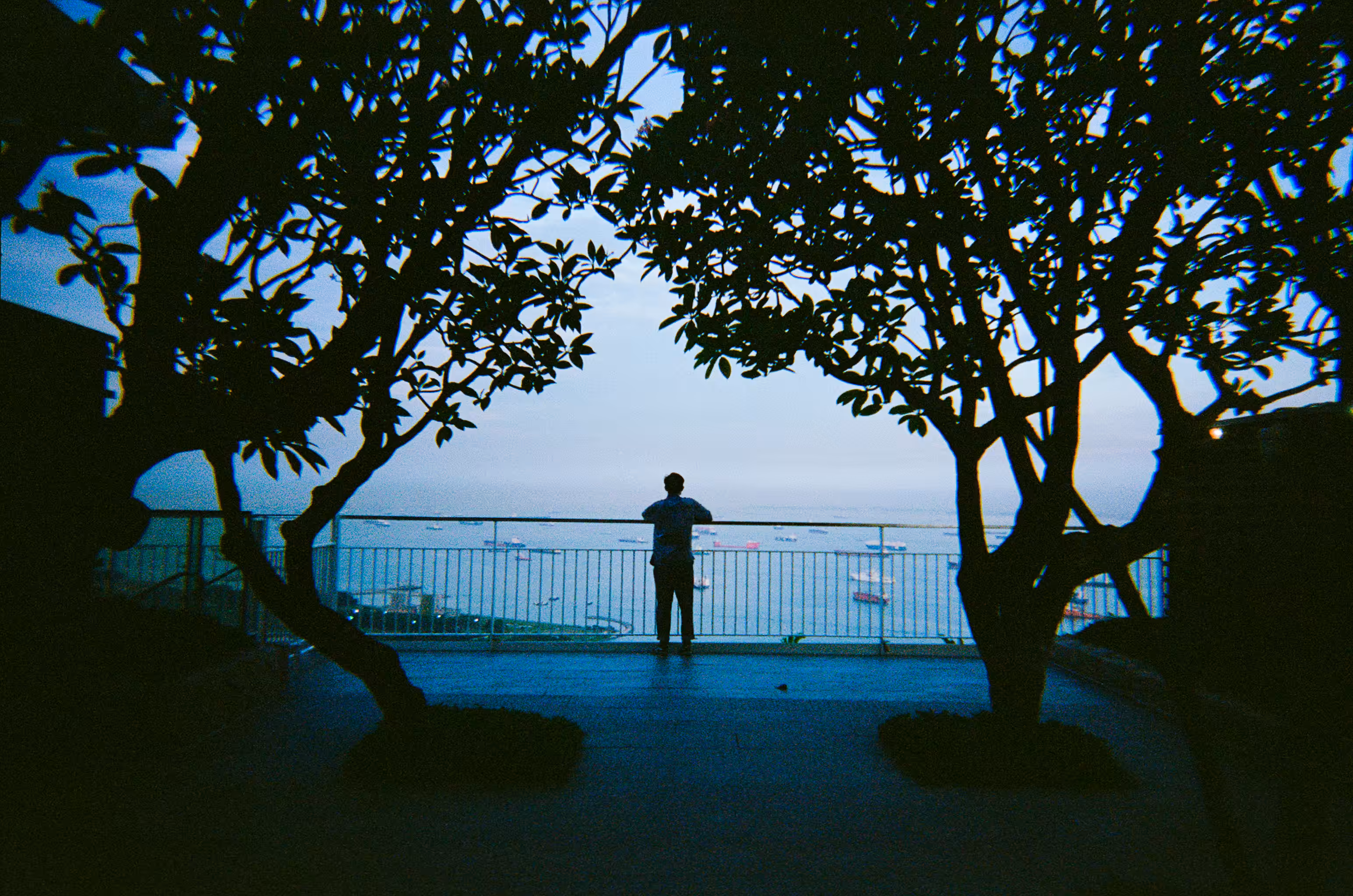 Looking out at the sea