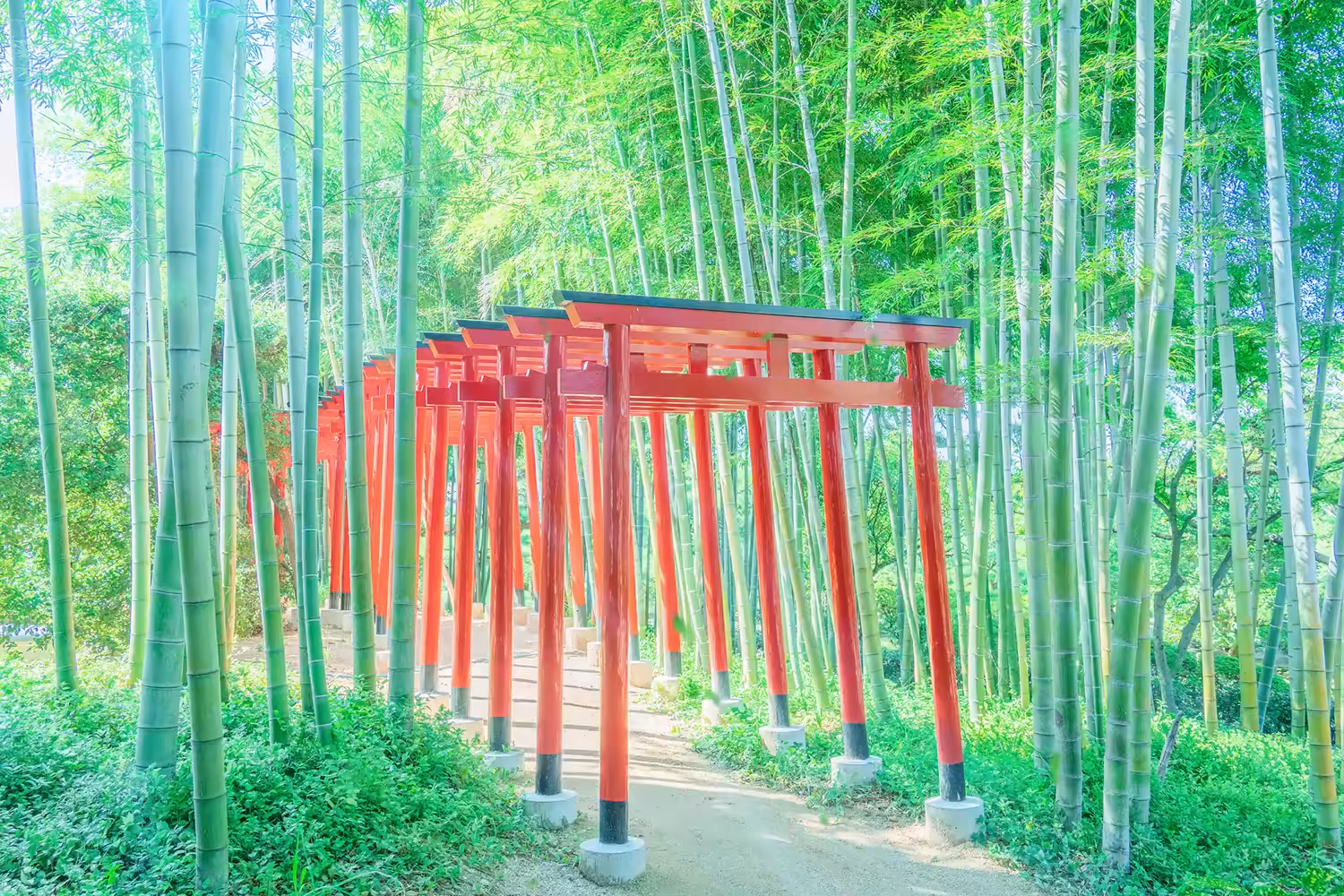 Mysteries of Japan